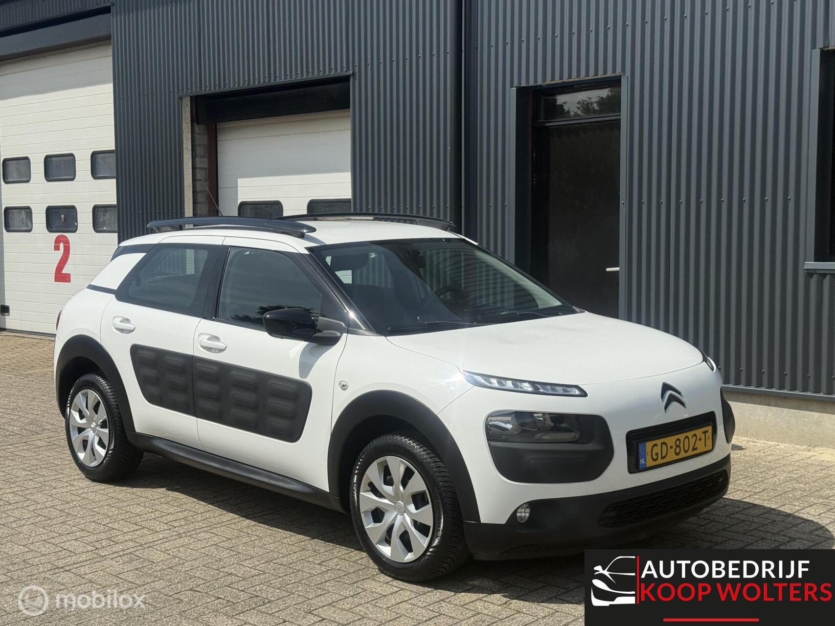 Foto van Citroen C4 Cactus