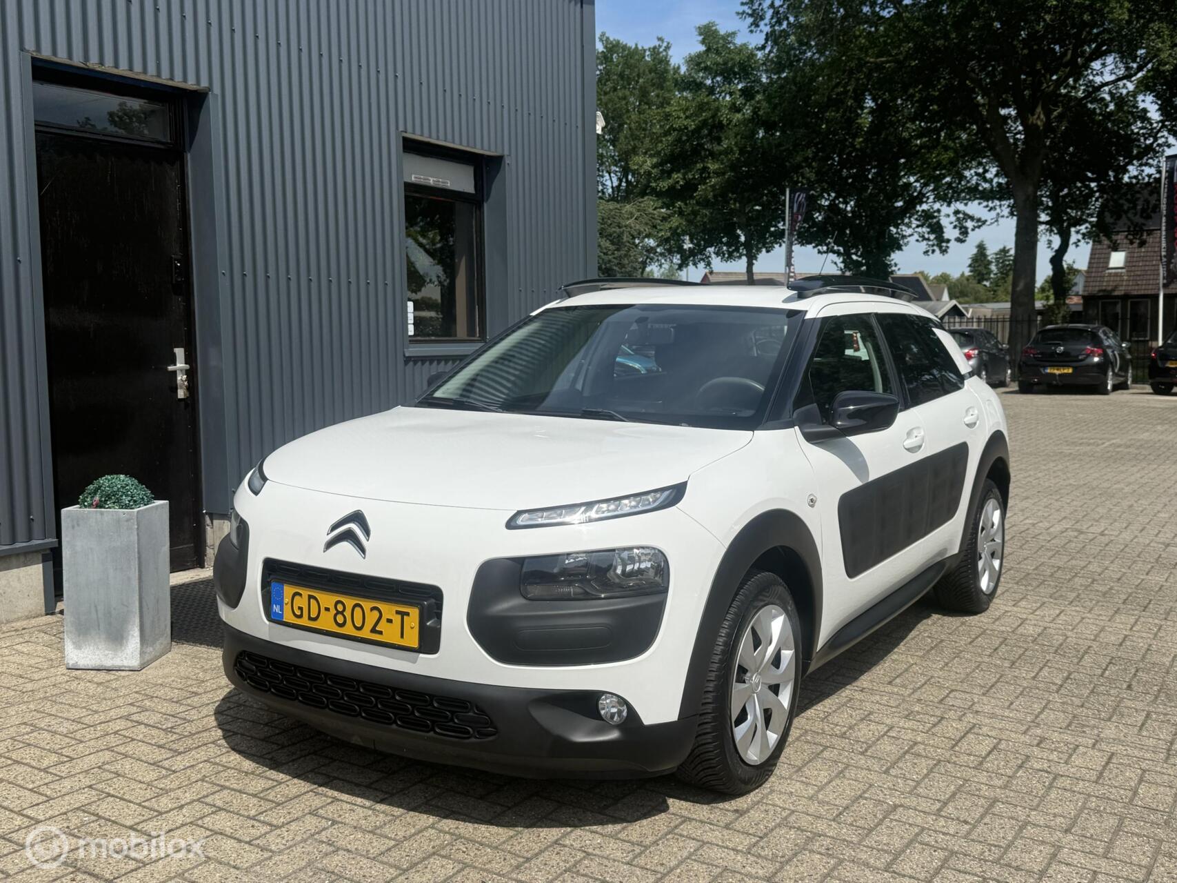 Foto van Citroen C4 Cactus