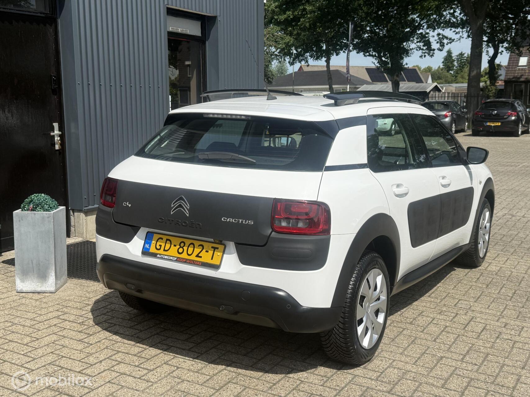 Foto van Citroen C4 Cactus