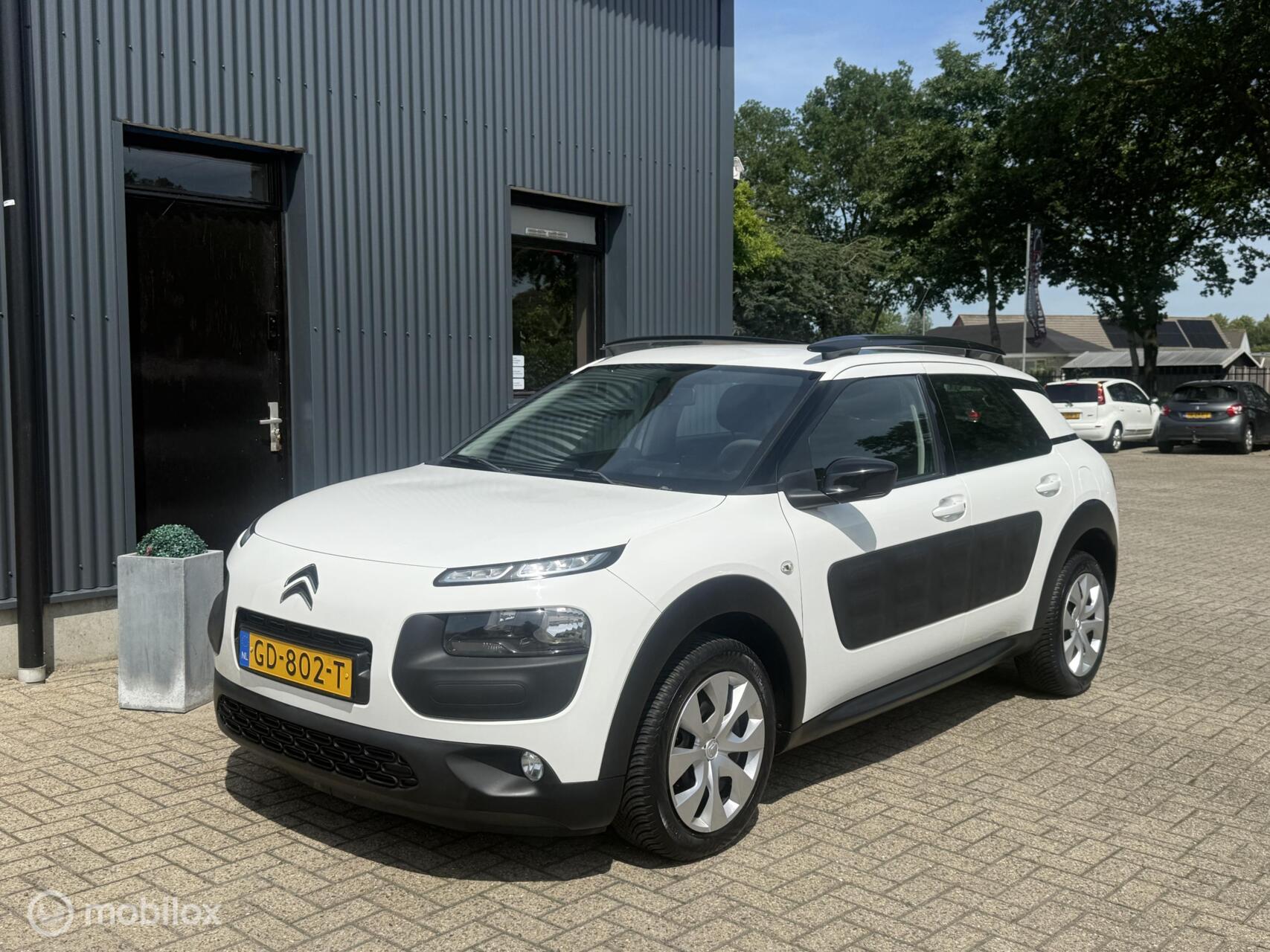 Foto van Citroen C4 Cactus