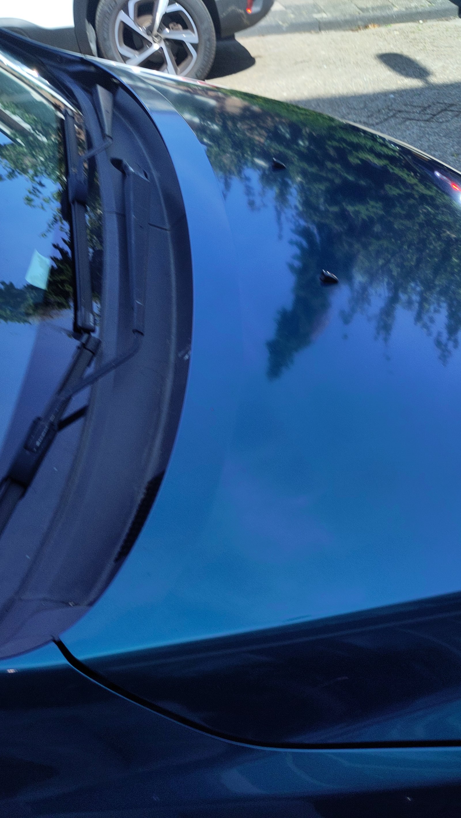Inspectiefoto van Mazda 5