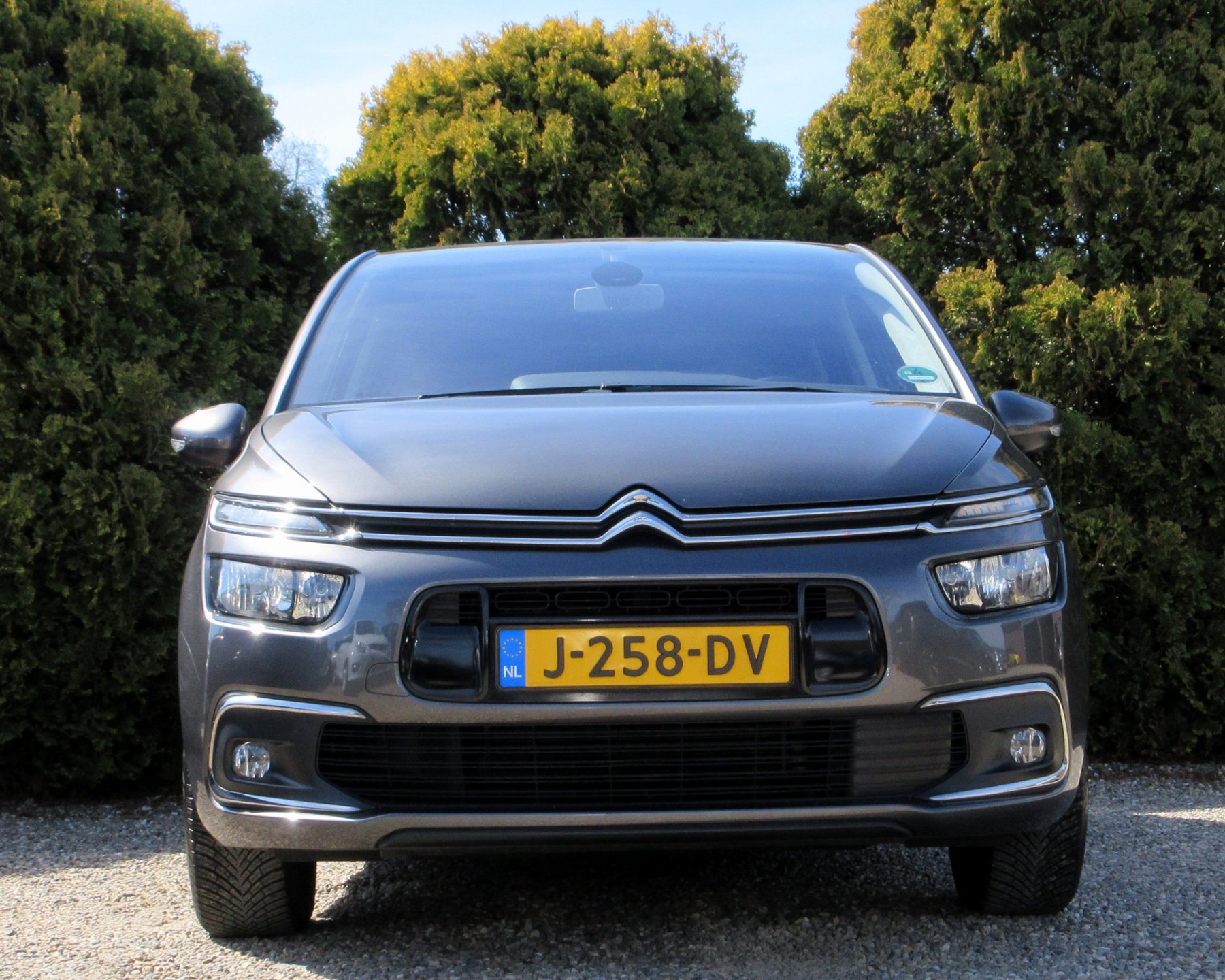 Foto van Citroen C4 Picasso