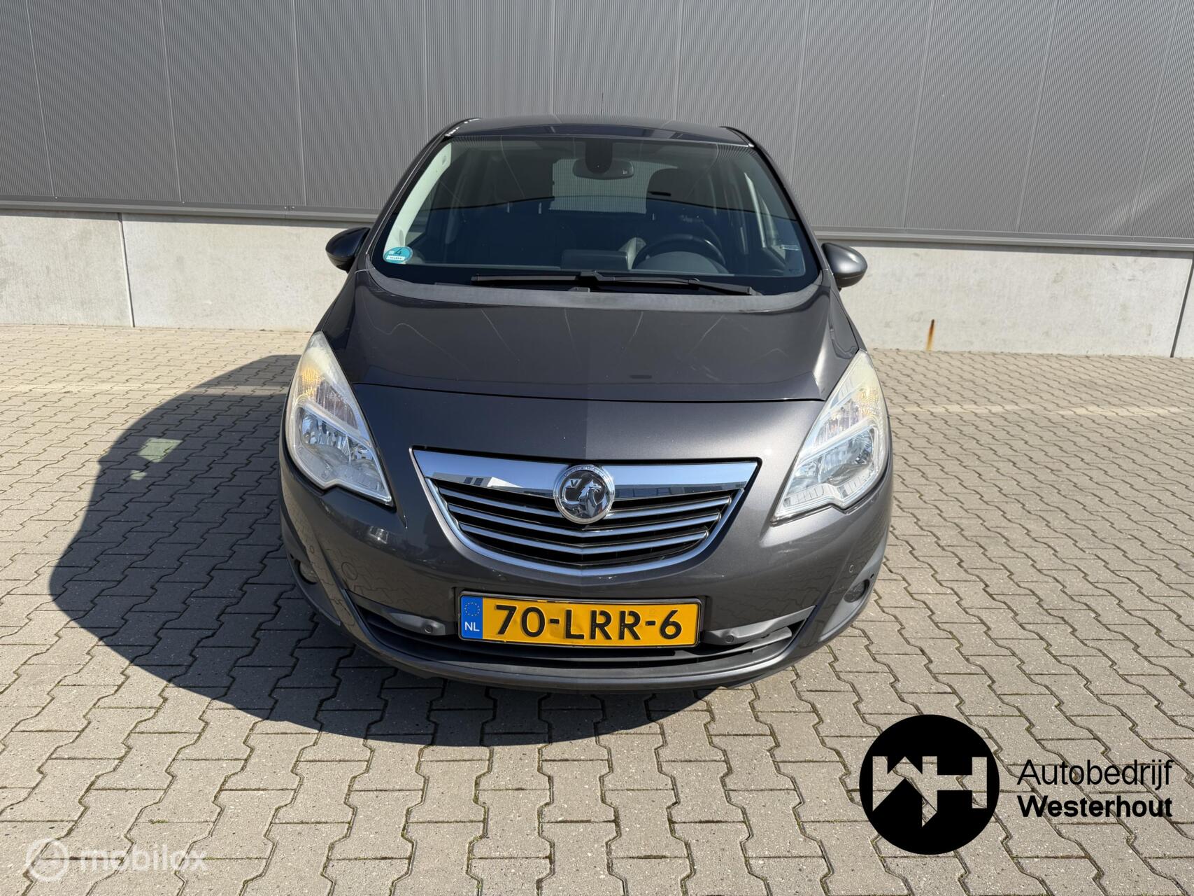 Foto van Opel Meriva