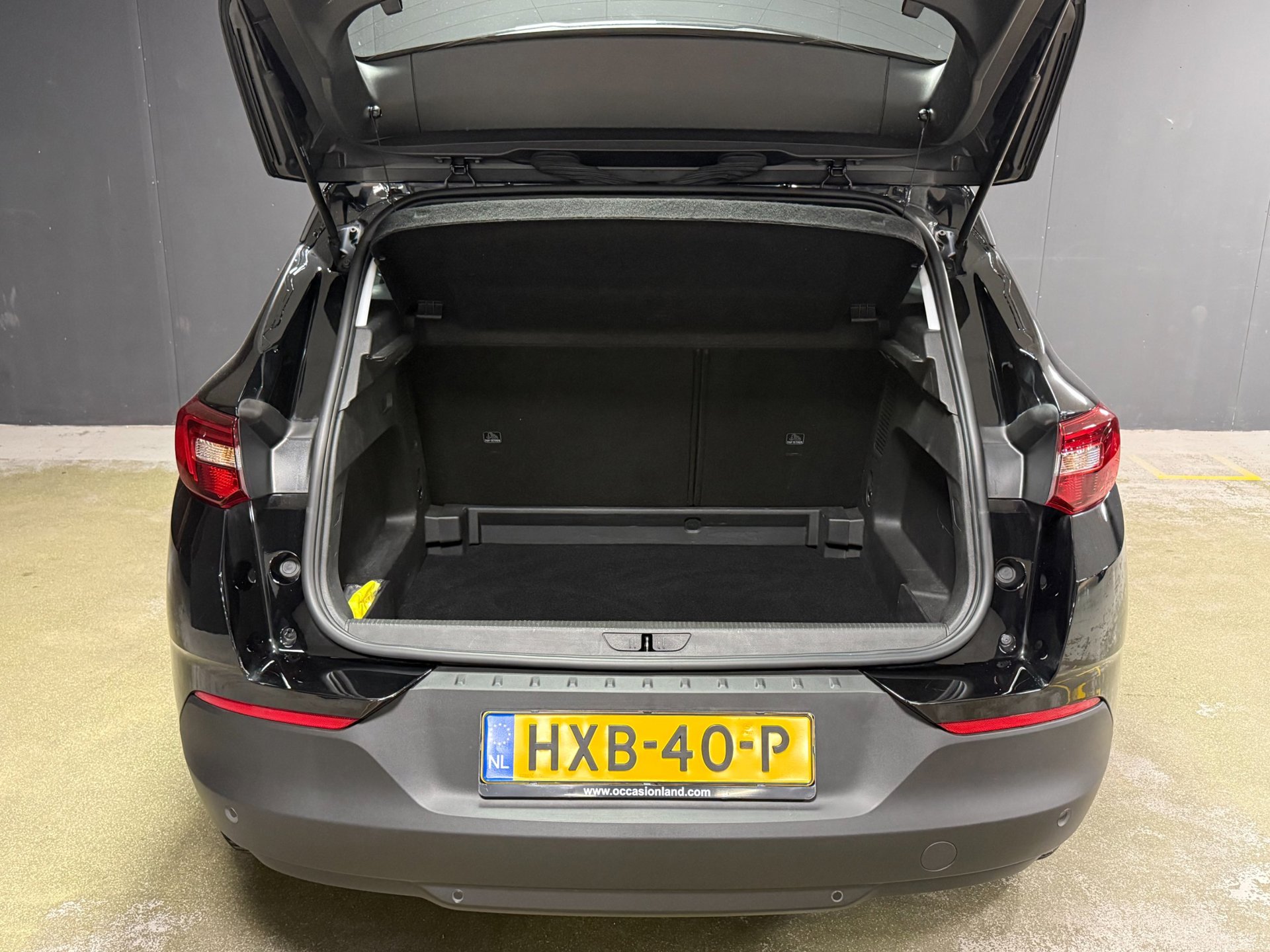 Foto van Opel Grandland X