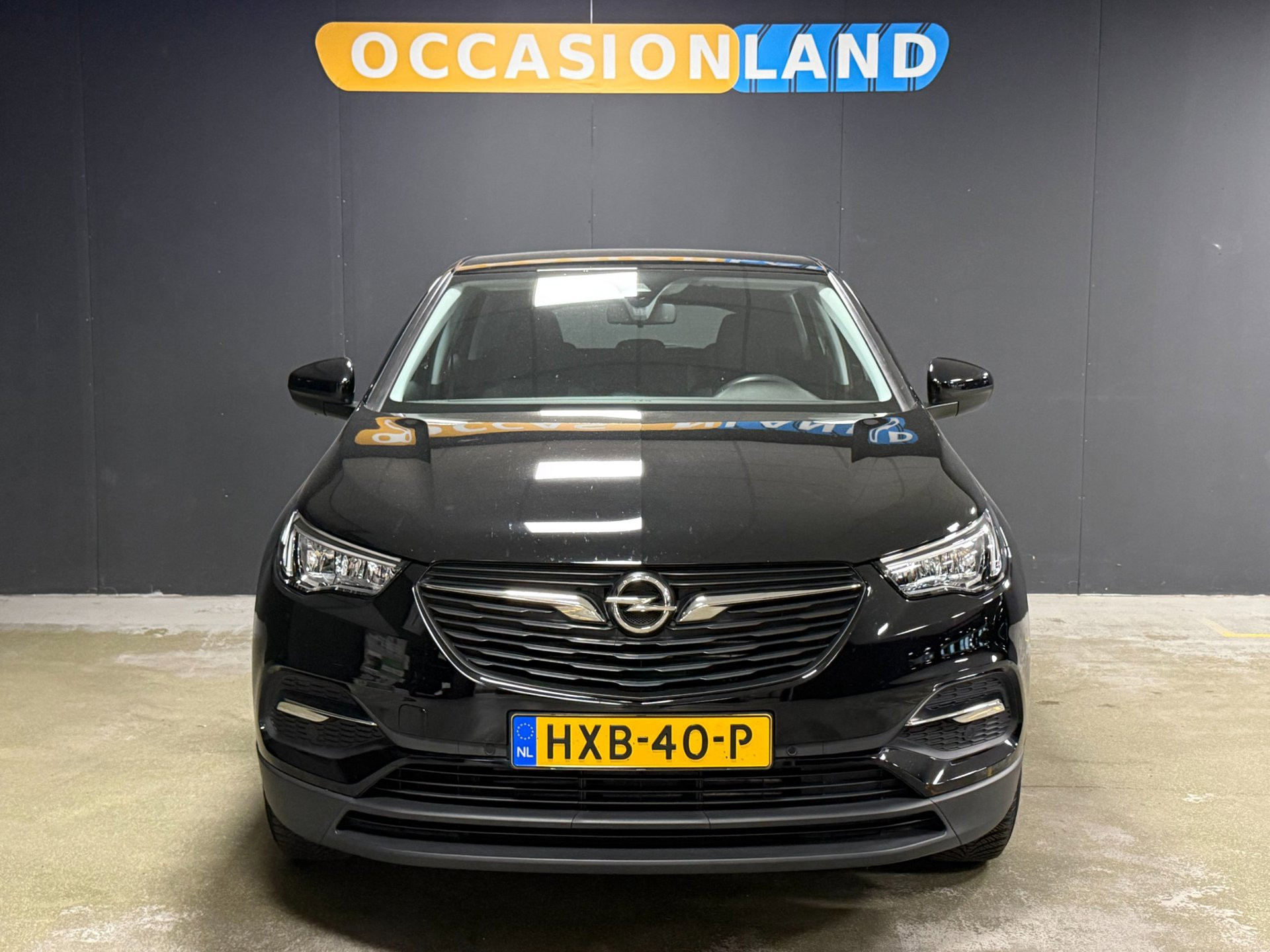 Foto van Opel Grandland X