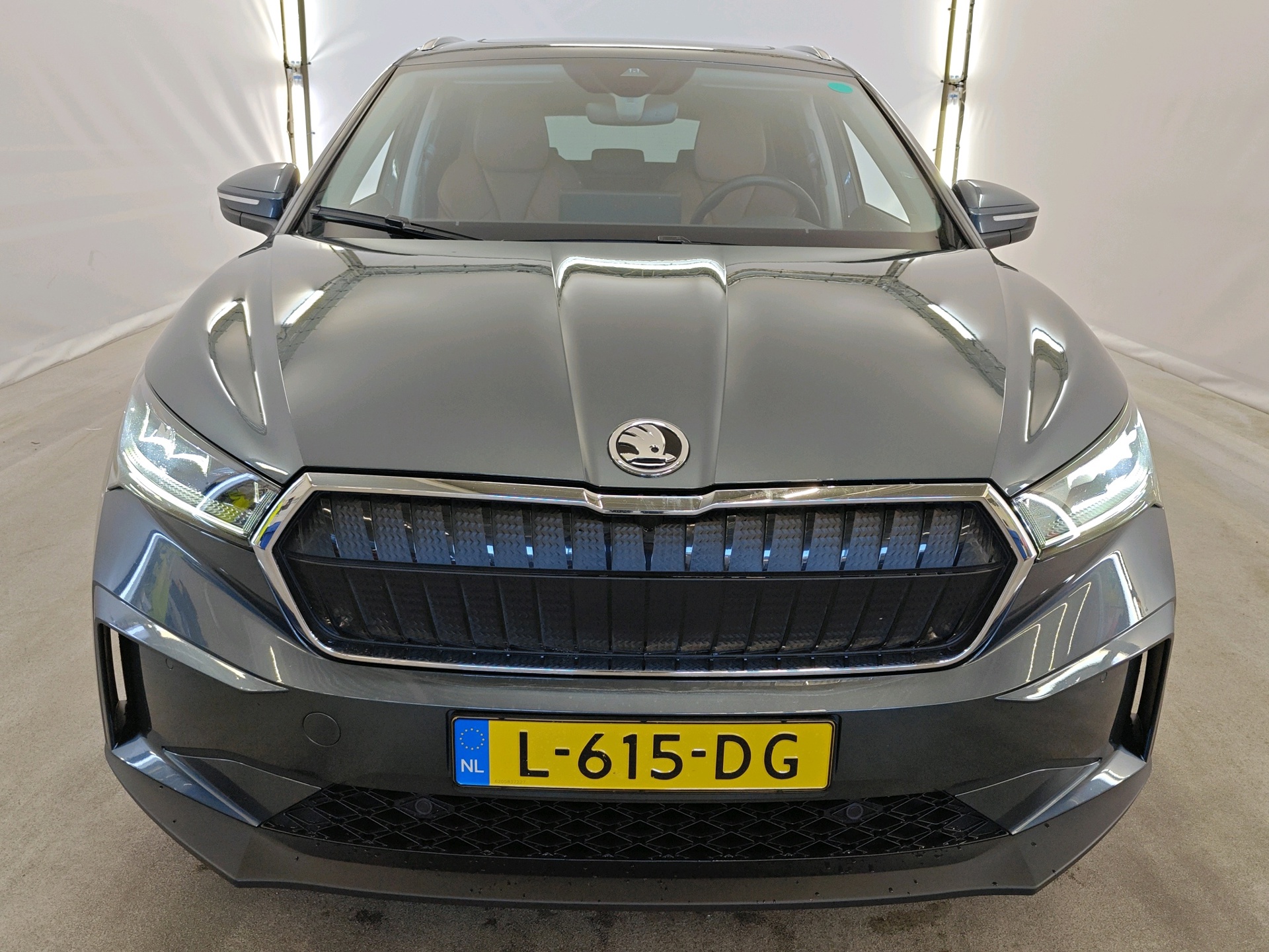 Foto van Skoda Enyaq 80