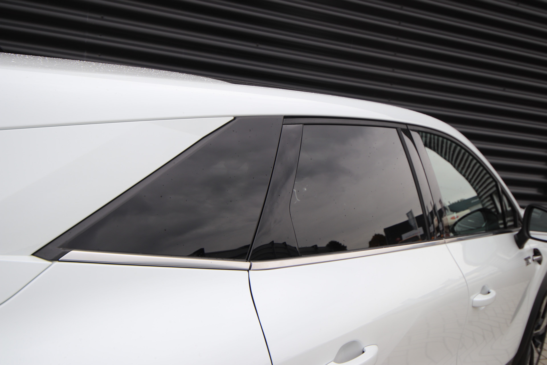 Foto van Mitsubishi Grandis