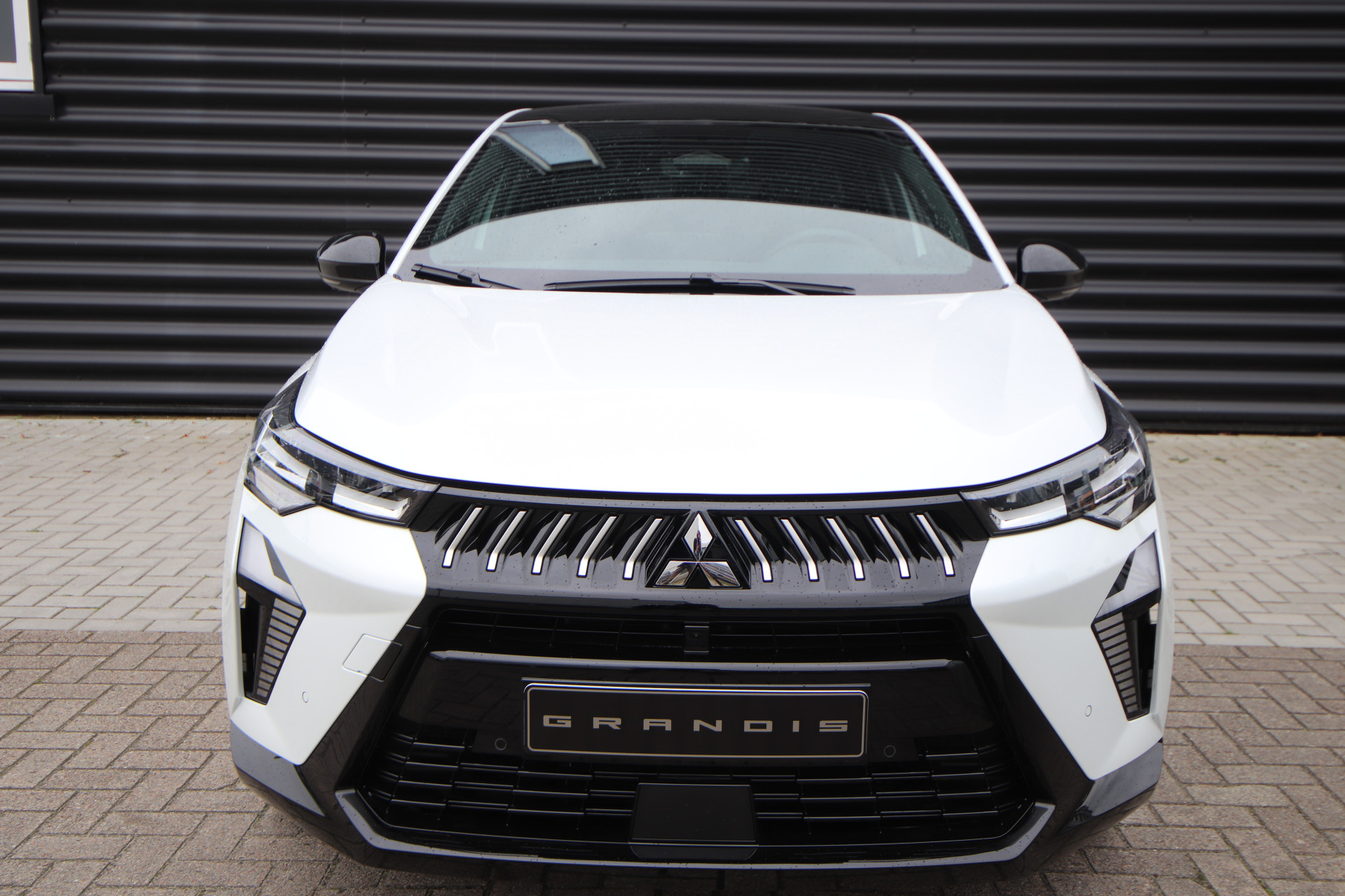 Foto van Mitsubishi Grandis
