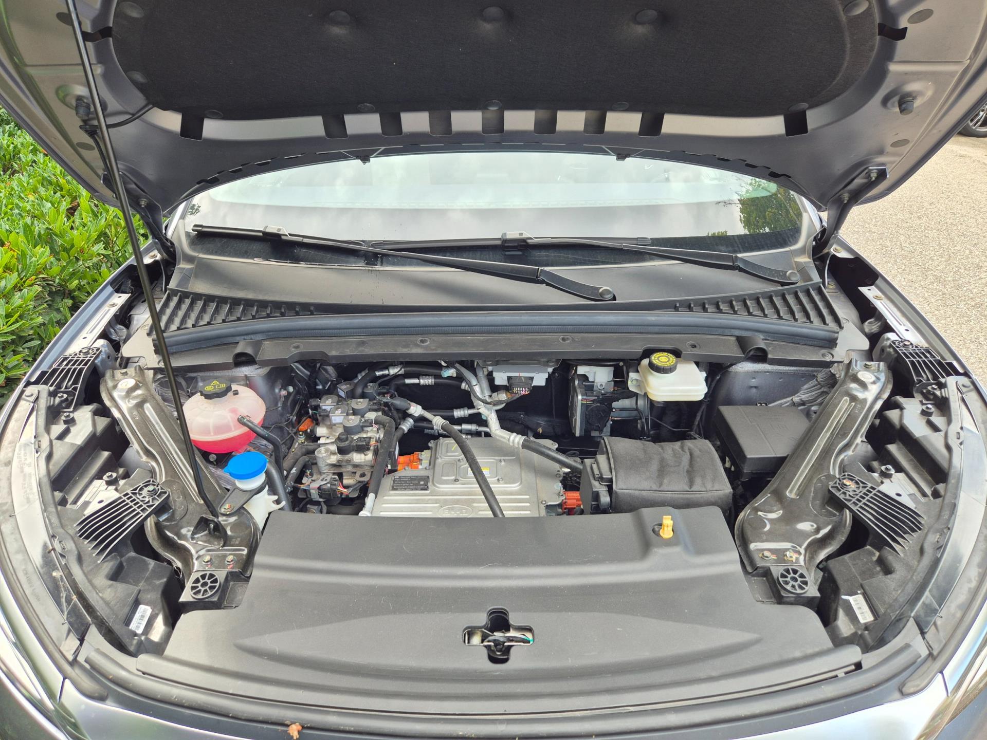 Foto van BYD Atto 3