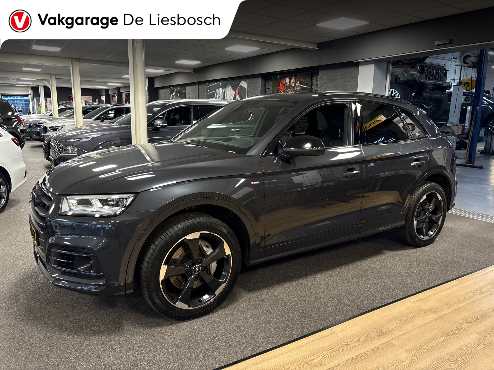 Foto van Audi Q5 50 TFSI E