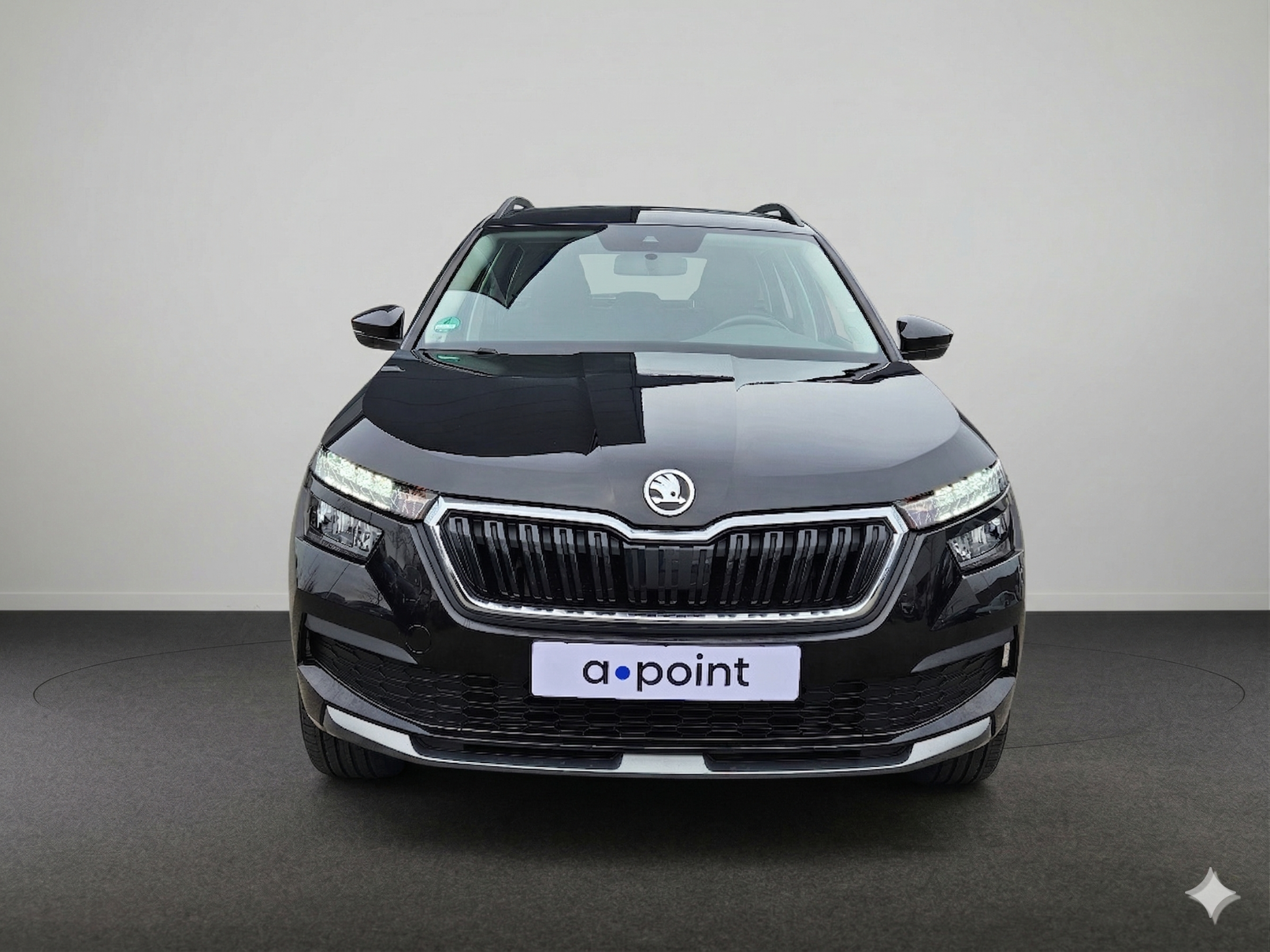 Foto van Skoda Kamiq
