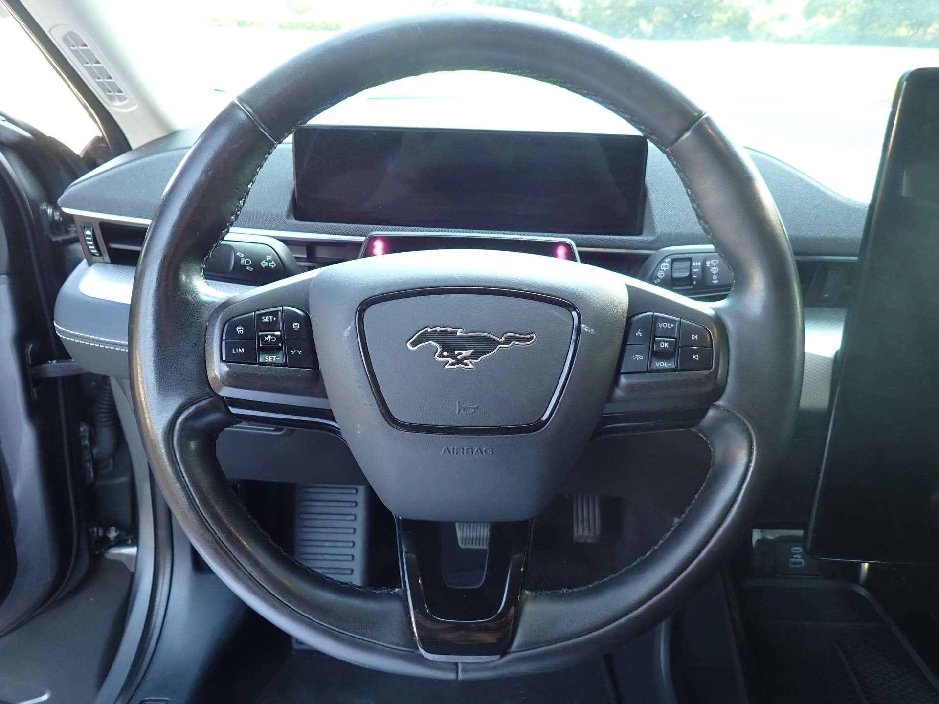 Foto van Ford Mustang Mach-e