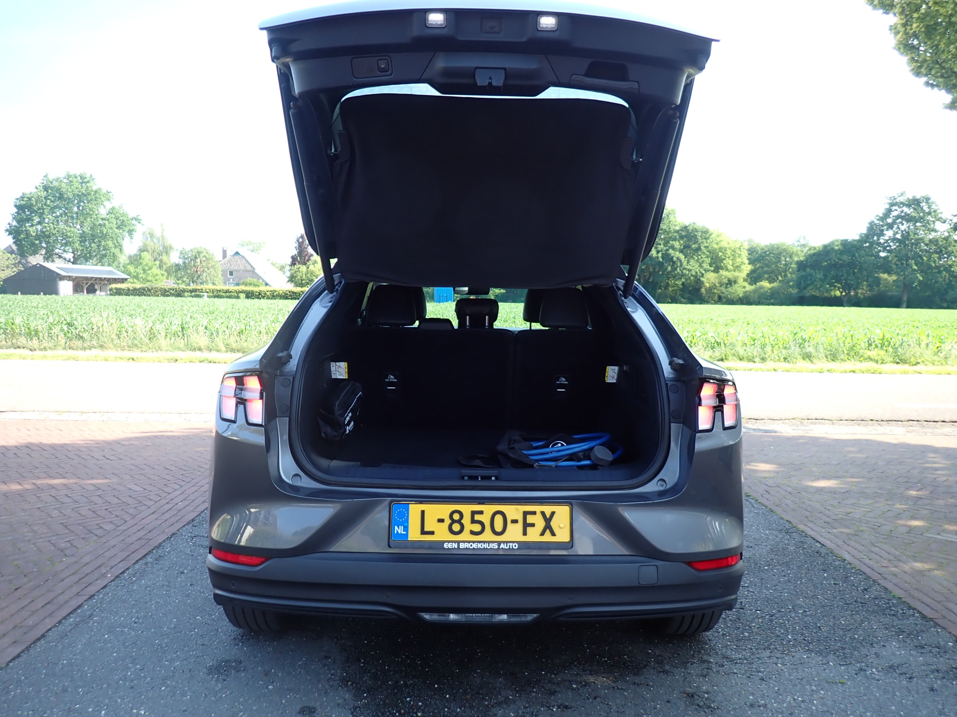Foto van Ford Mustang Mach-e