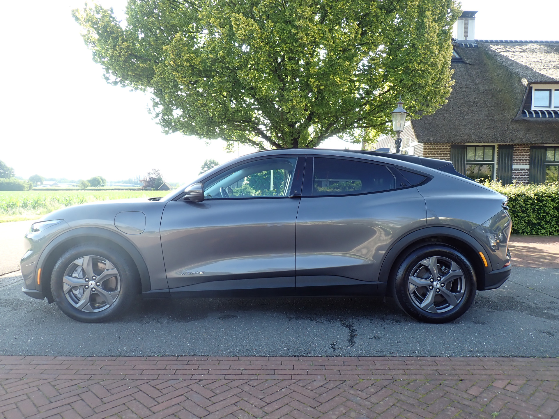 Foto van Ford Mustang Mach-e