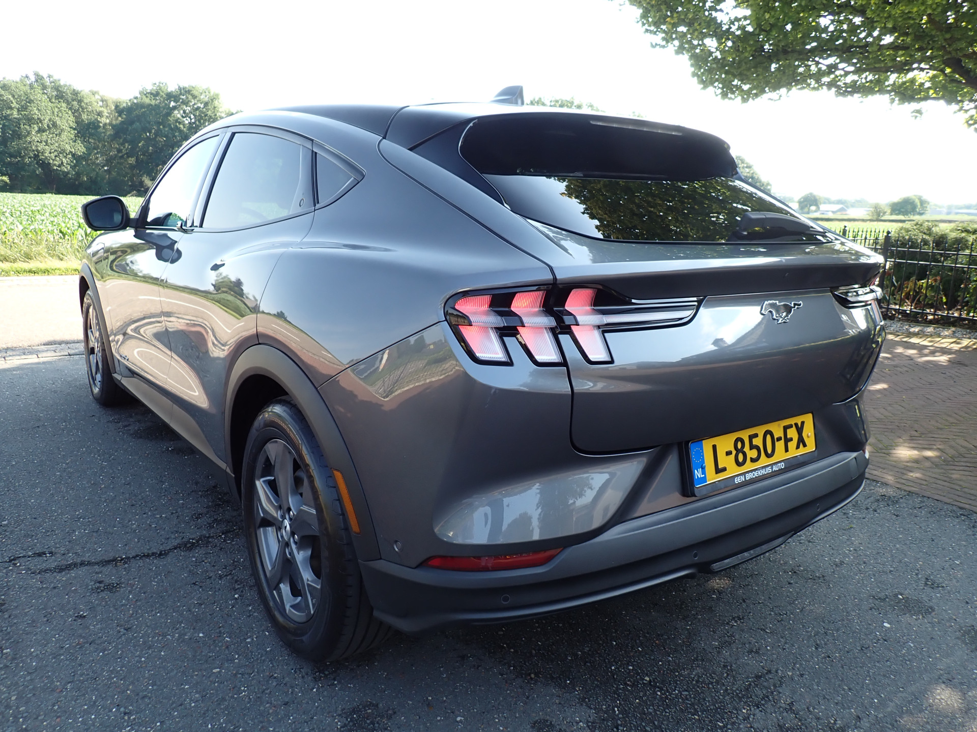Foto van Ford Mustang Mach-e