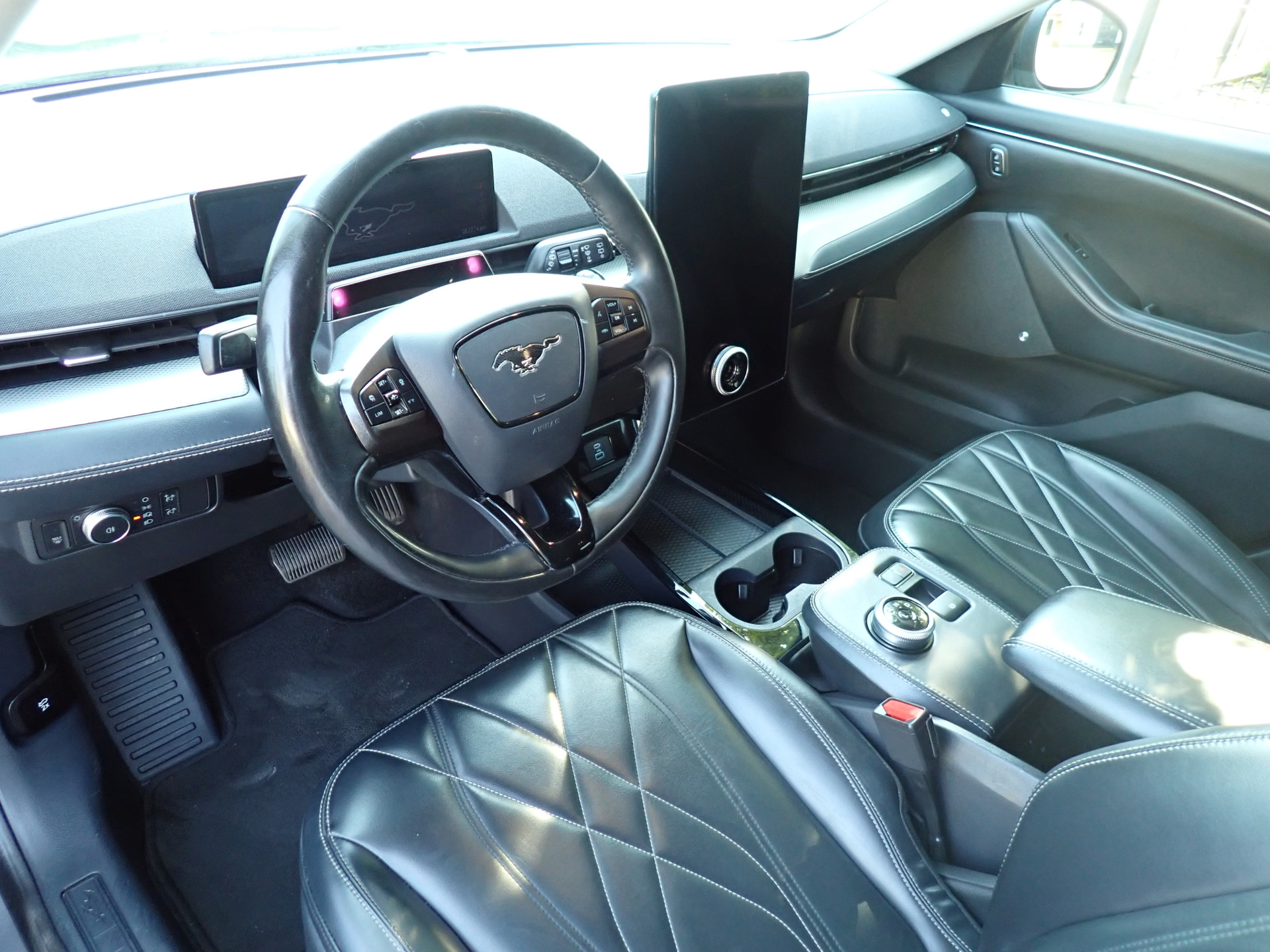 Foto van Ford Mustang Mach-e