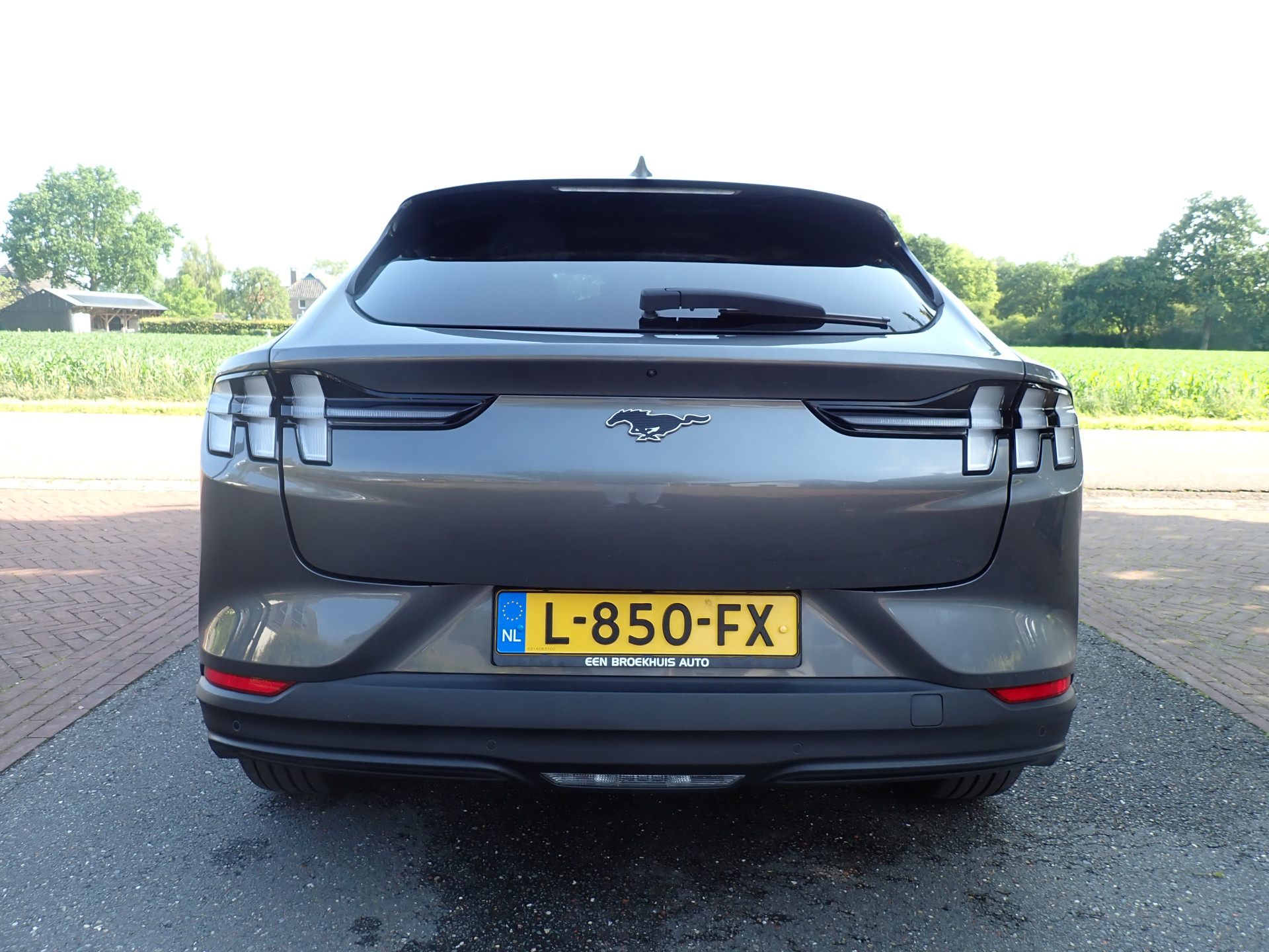 Foto van Ford Mustang Mach-e