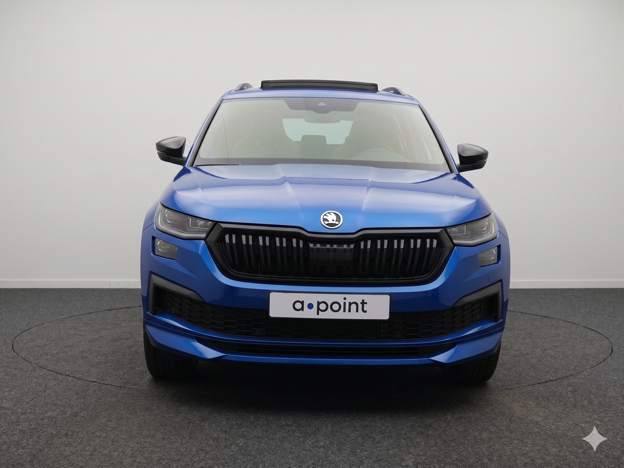 Foto van Skoda Kodiaq