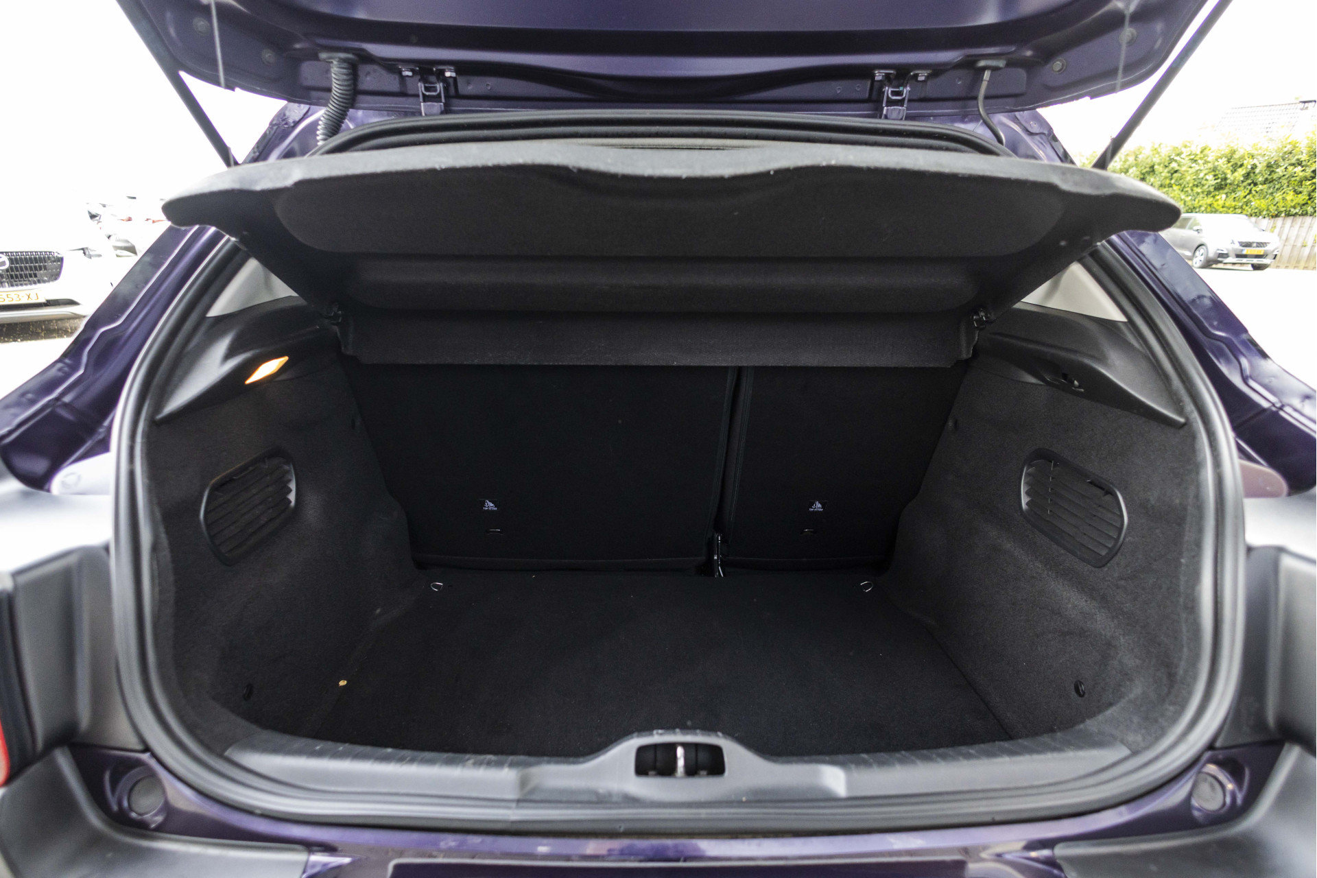 Foto van Citroen C4 Cactus