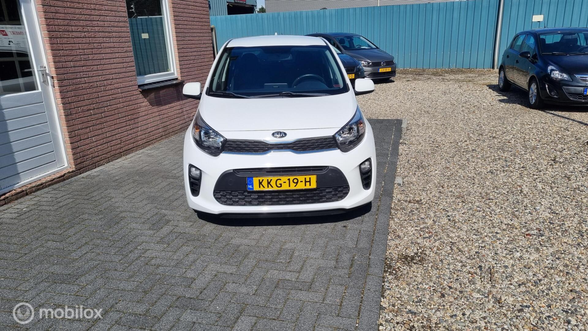 Kia Picanto 1.0 CVVT DynamicLine stoelverwarming , sportvelgen , lage km stand 2019 - voorkant