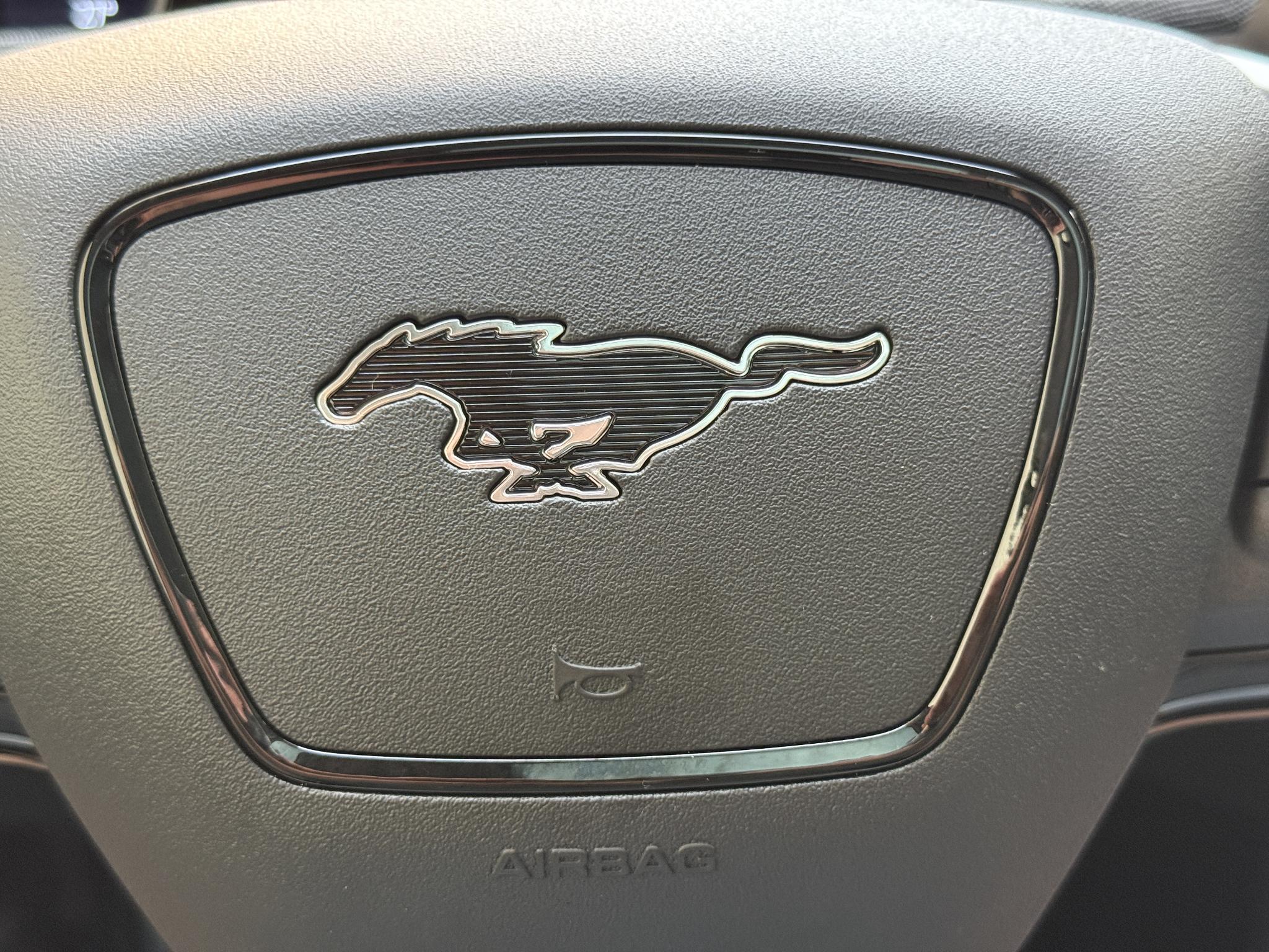 Foto van Ford Mustang Mach-e