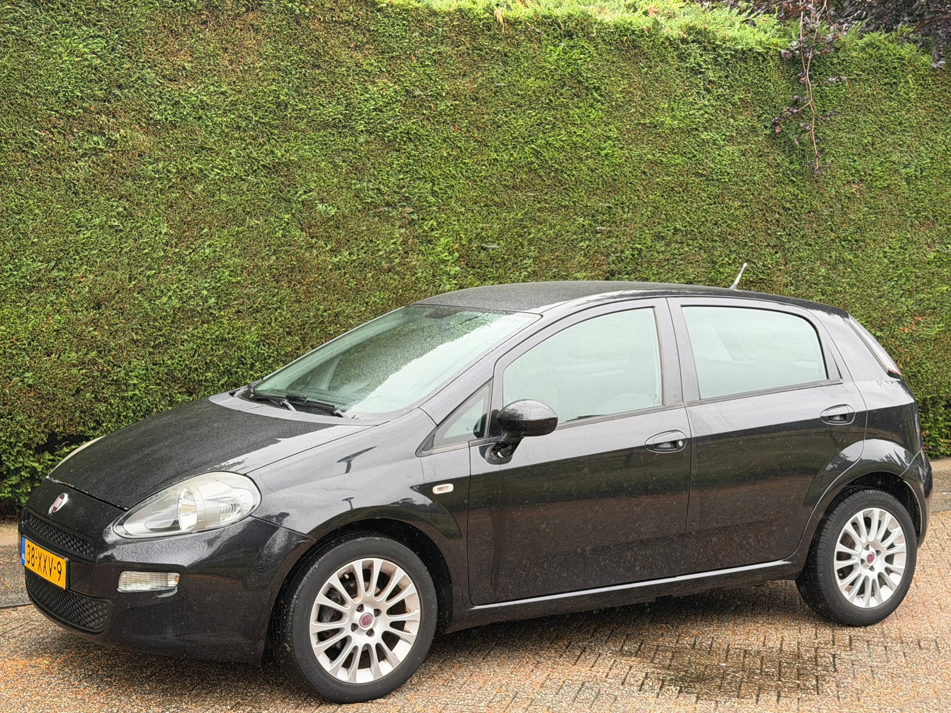 Foto van Fiat Fiat Punto
