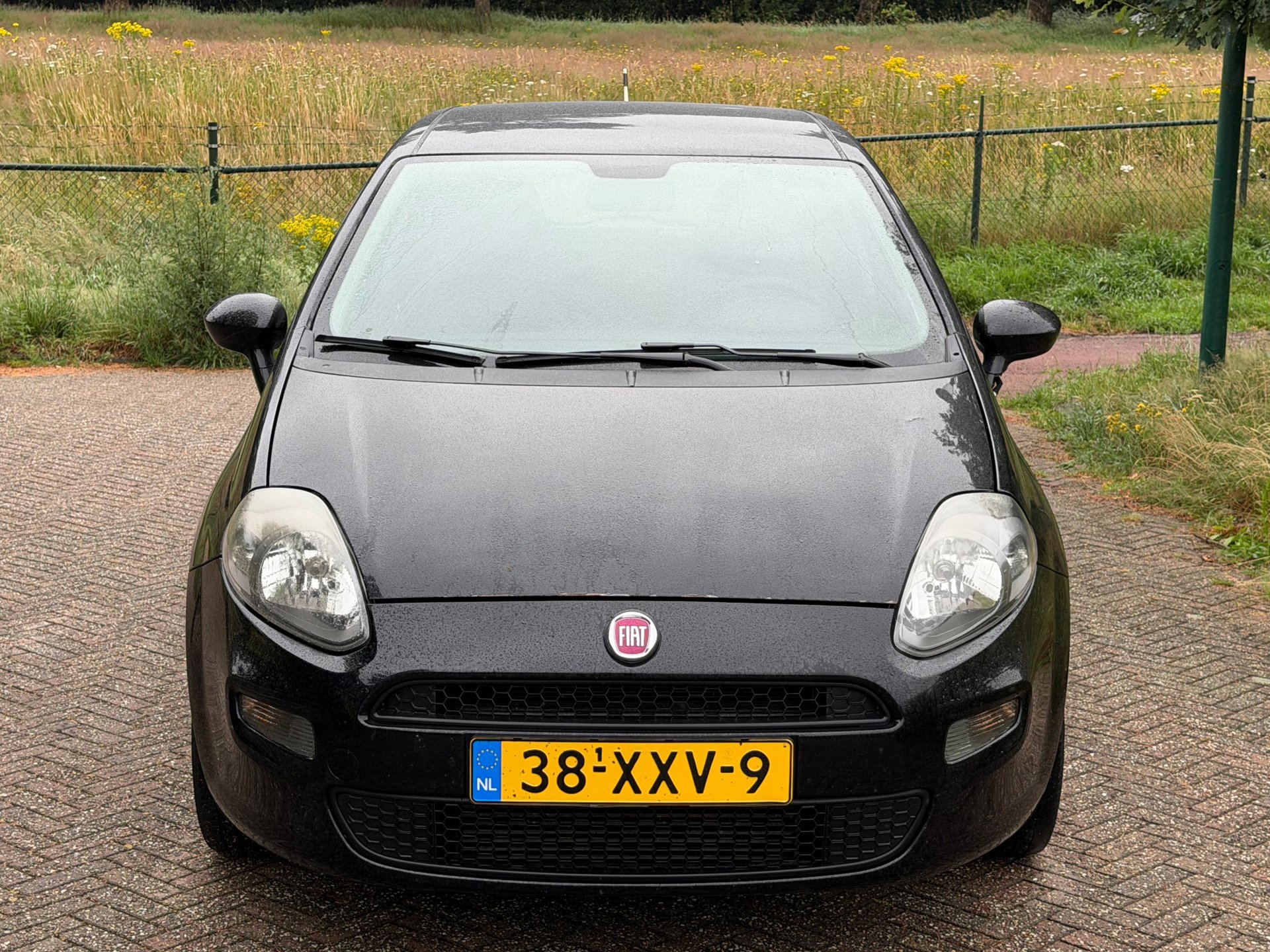 Foto van Fiat Fiat Punto