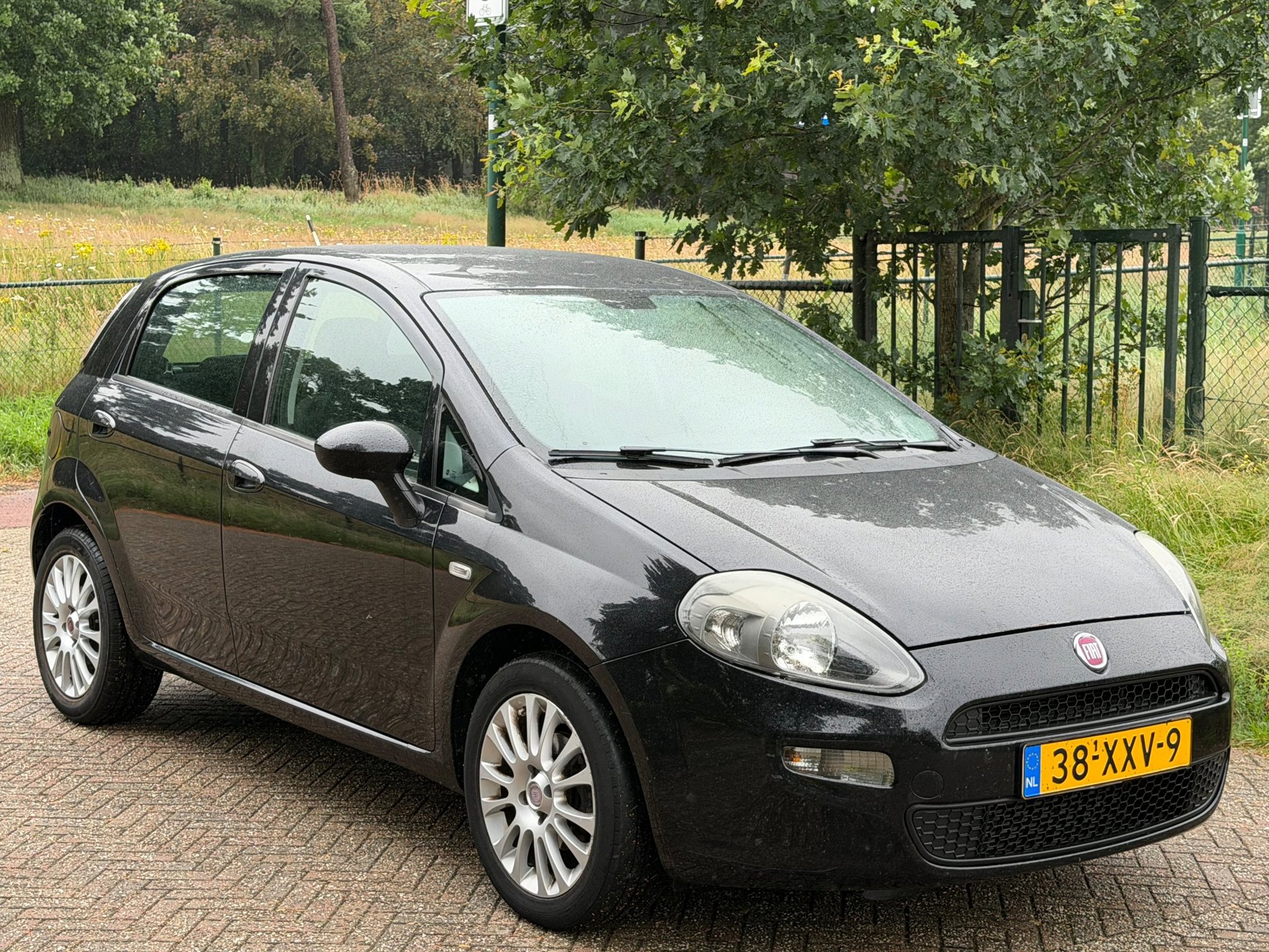 Foto van Fiat Fiat Punto
