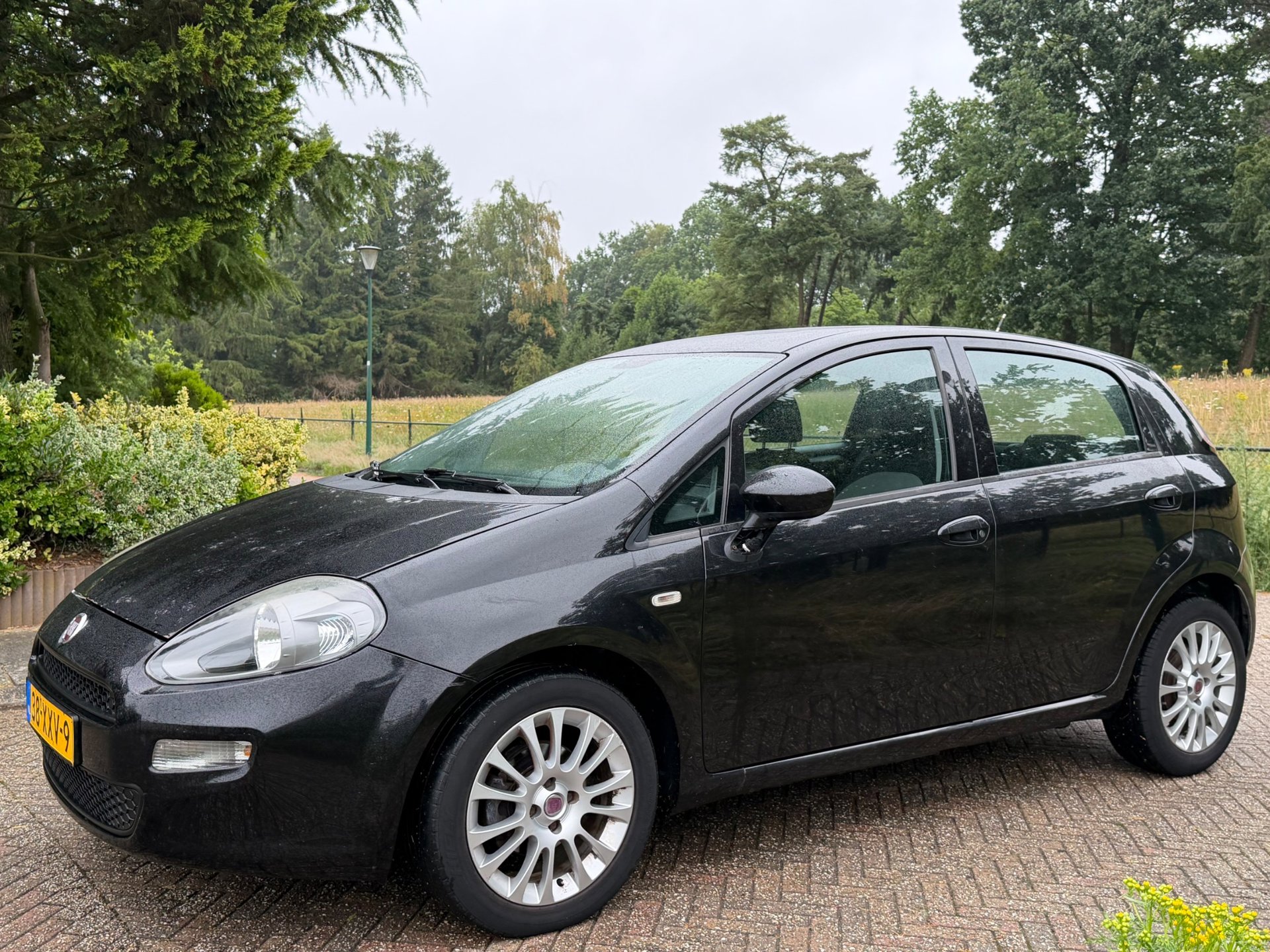 Foto van Fiat Fiat Punto
