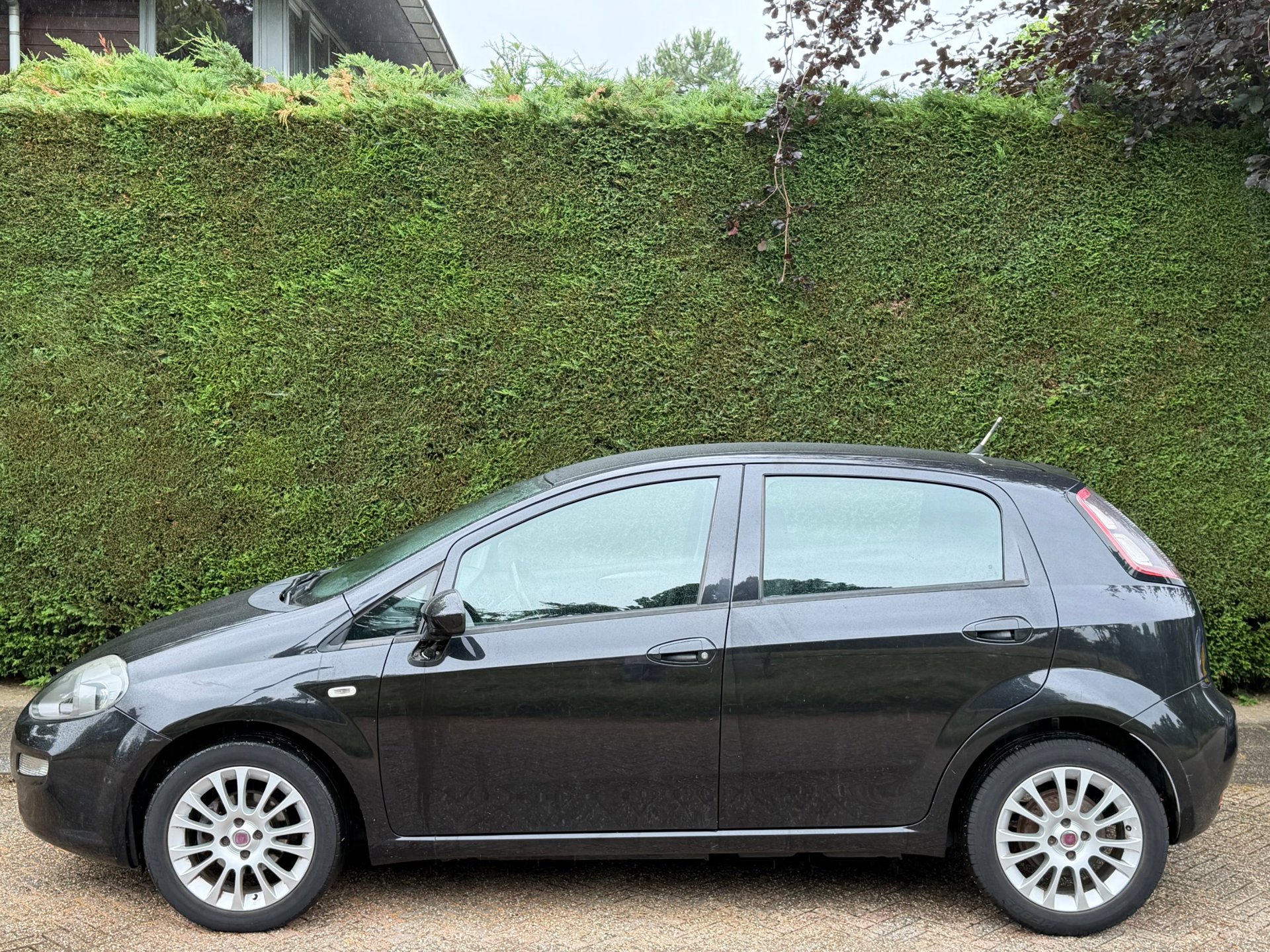 Foto van Fiat Fiat Punto