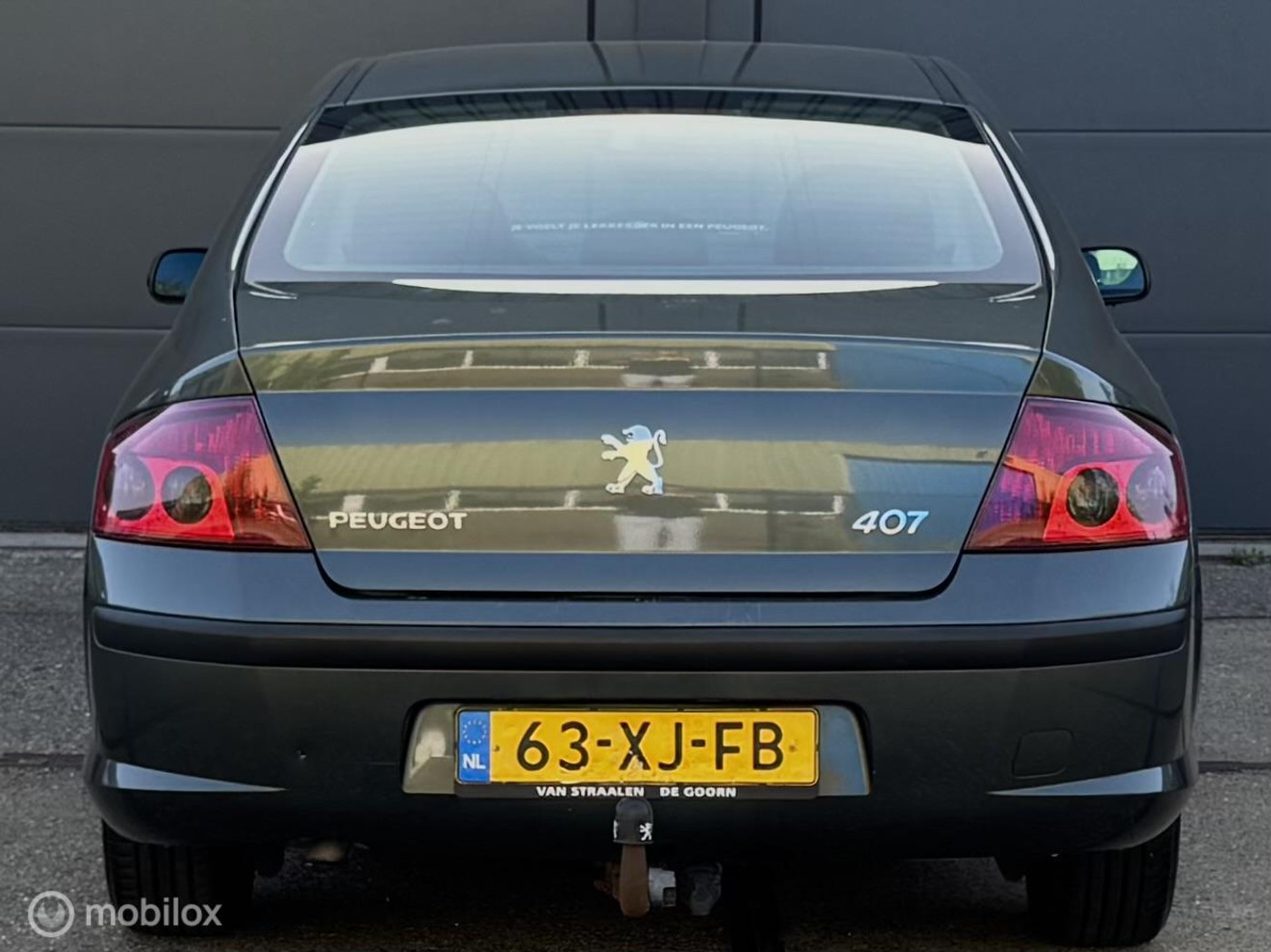 Foto van Peugeot 407