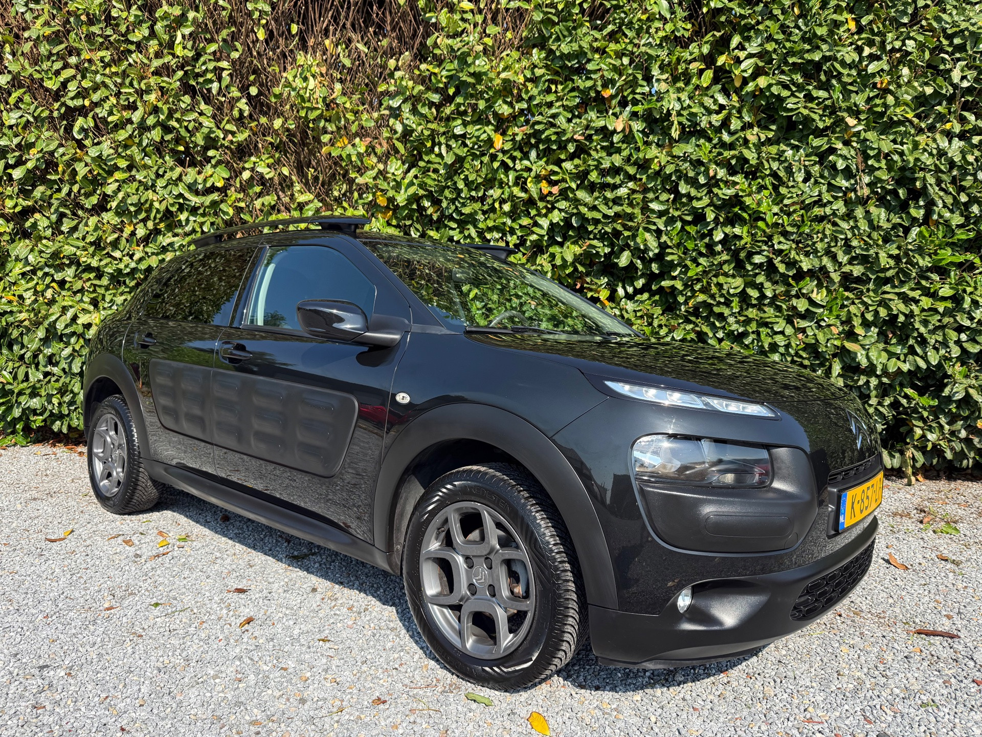 Foto van Citroen C4 Cactus