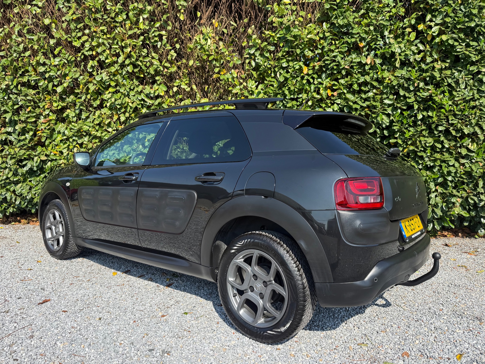 Foto van Citroen C4 Cactus