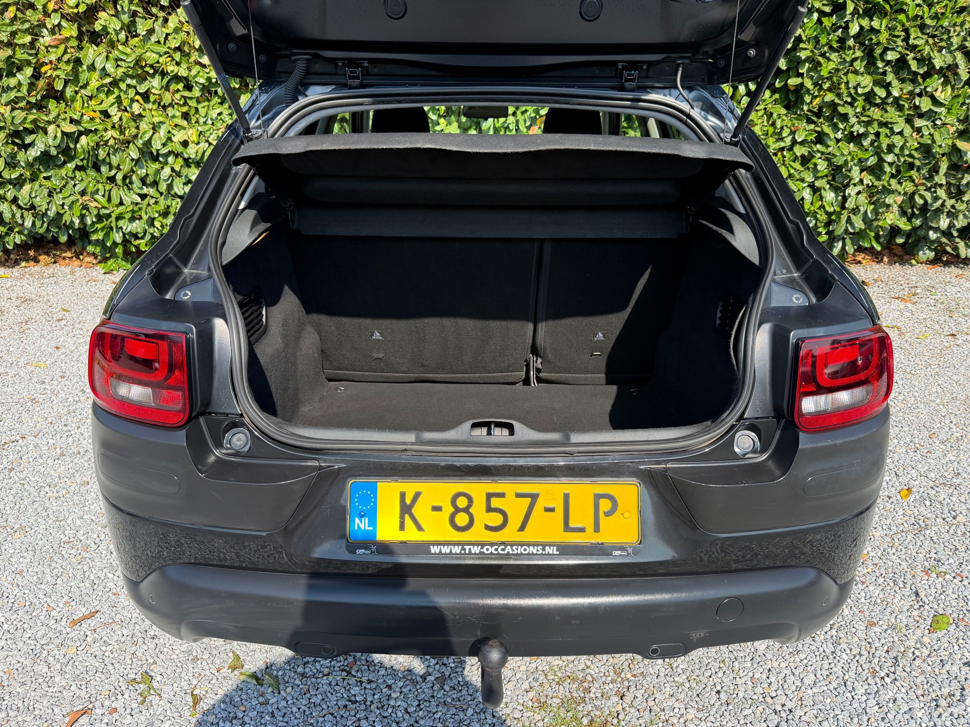 Foto van Citroen C4 Cactus