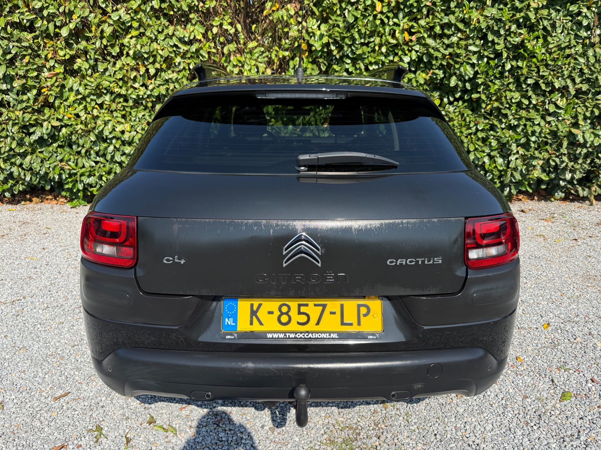 Foto van Citroen C4 Cactus