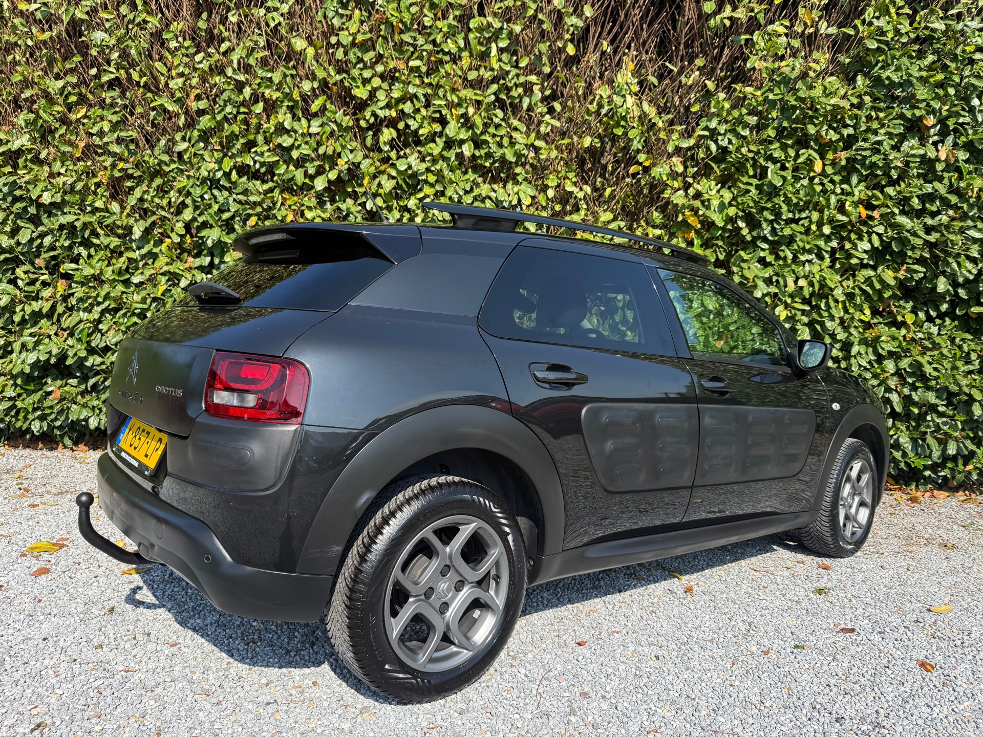 Foto van Citroen C4 Cactus