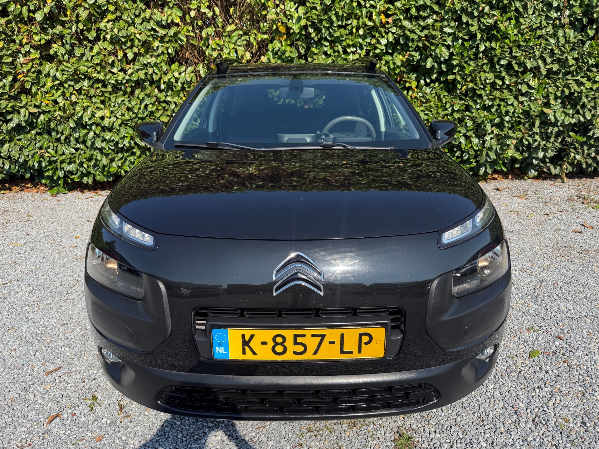 Foto van Citroen C4 Cactus