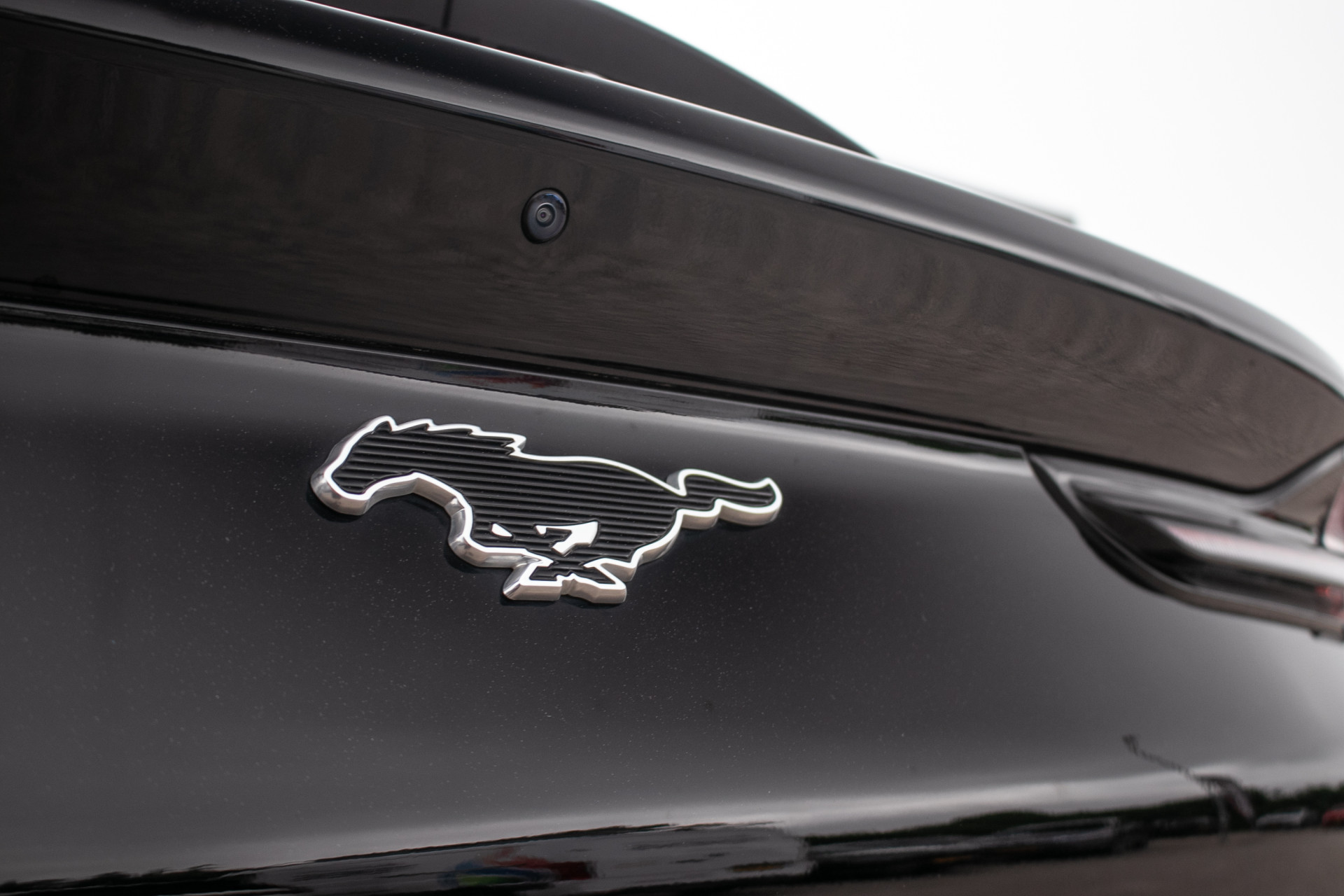 Foto van Ford Mustang Mach-e