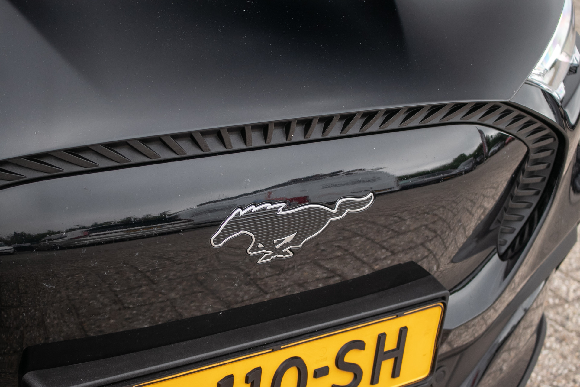 Foto van Ford Mustang Mach-e