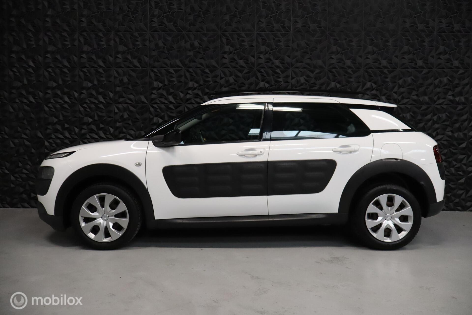 Foto van Citroen C4 Cactus