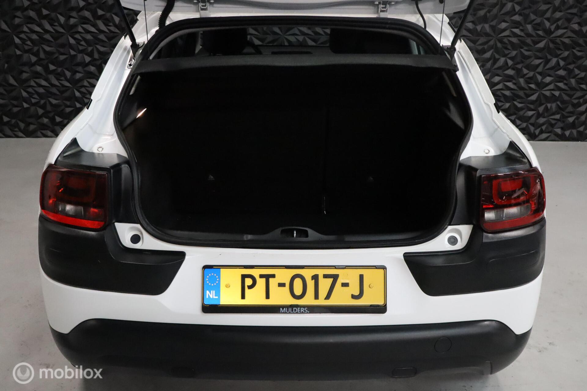 Foto van Citroen C4 Cactus