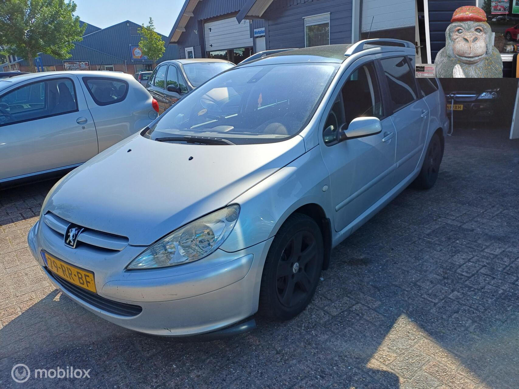 Foto van Peugeot 307