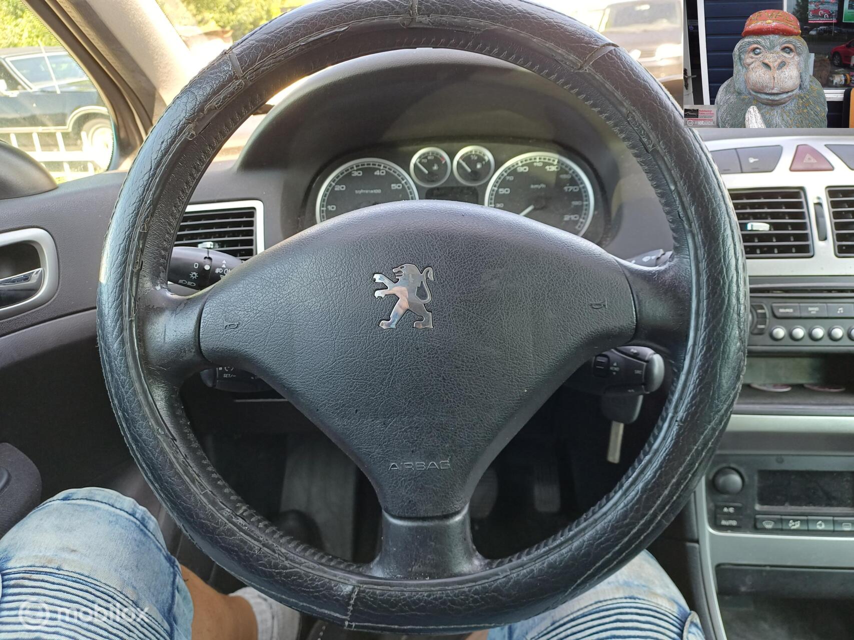 Foto van Peugeot 307