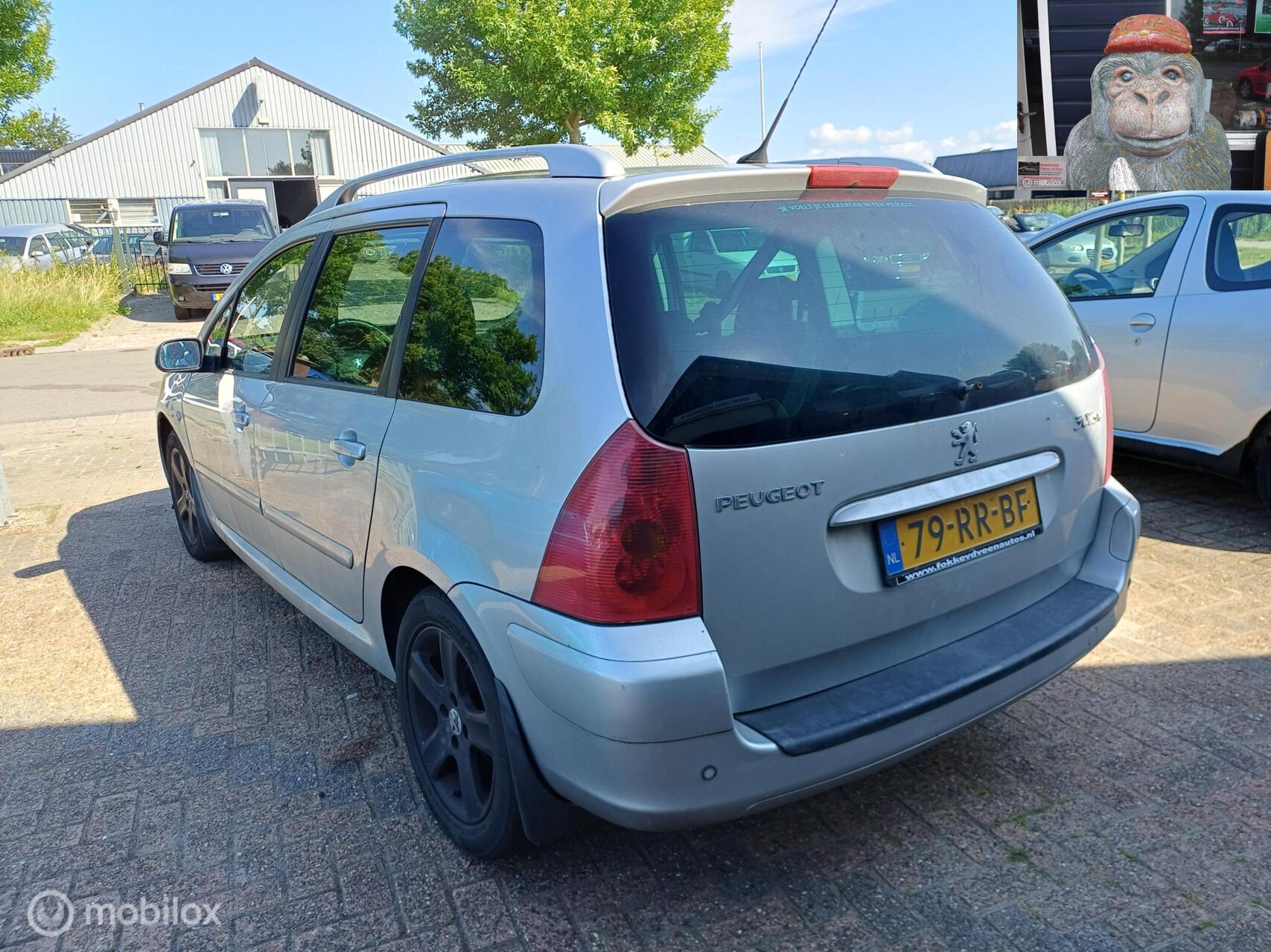 Foto van Peugeot 307