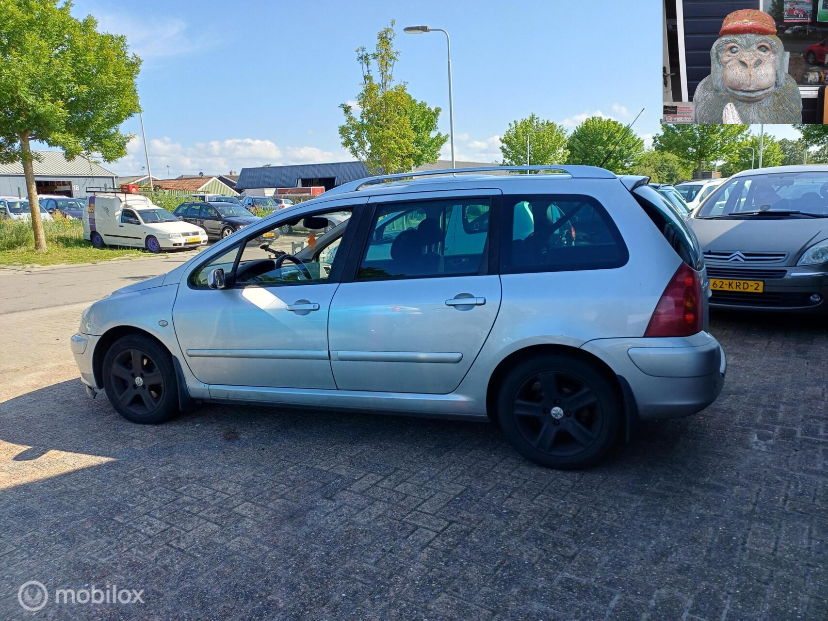 Foto van Peugeot 307