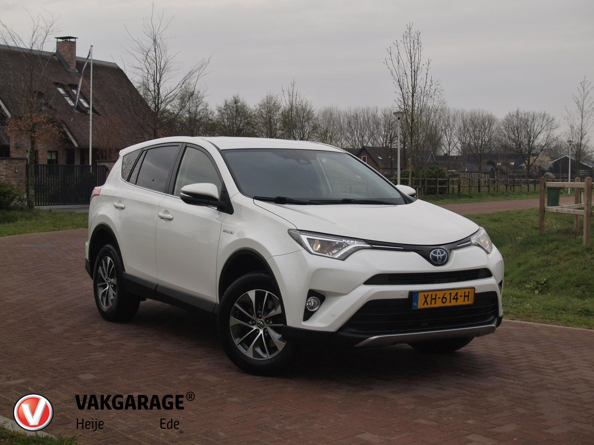 Toyota Rav4 2.5 Hybrid AWD Dyn. 2019 - voorkant