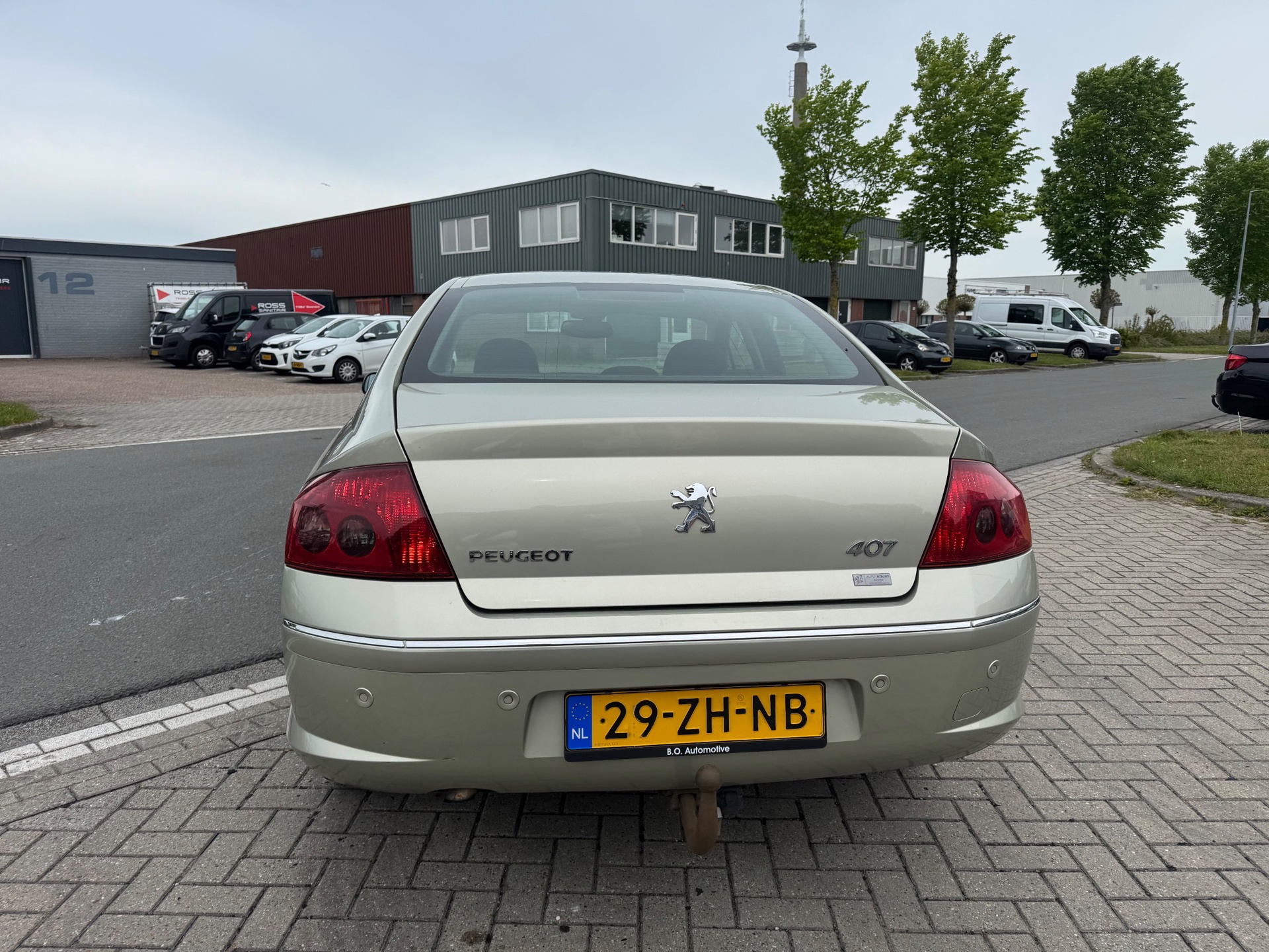 Foto van Peugeot 407