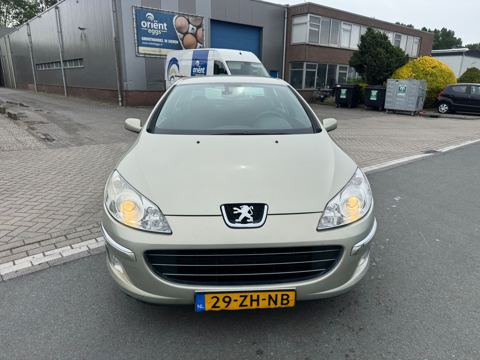 Foto van Peugeot 407