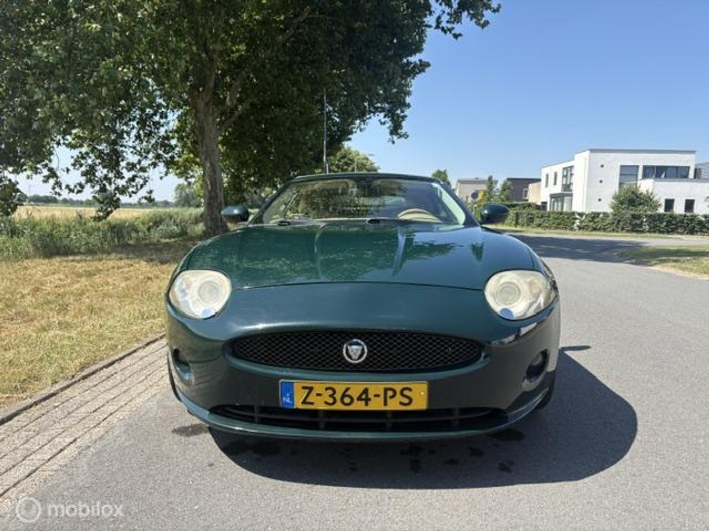 Foto van Jaguar XK