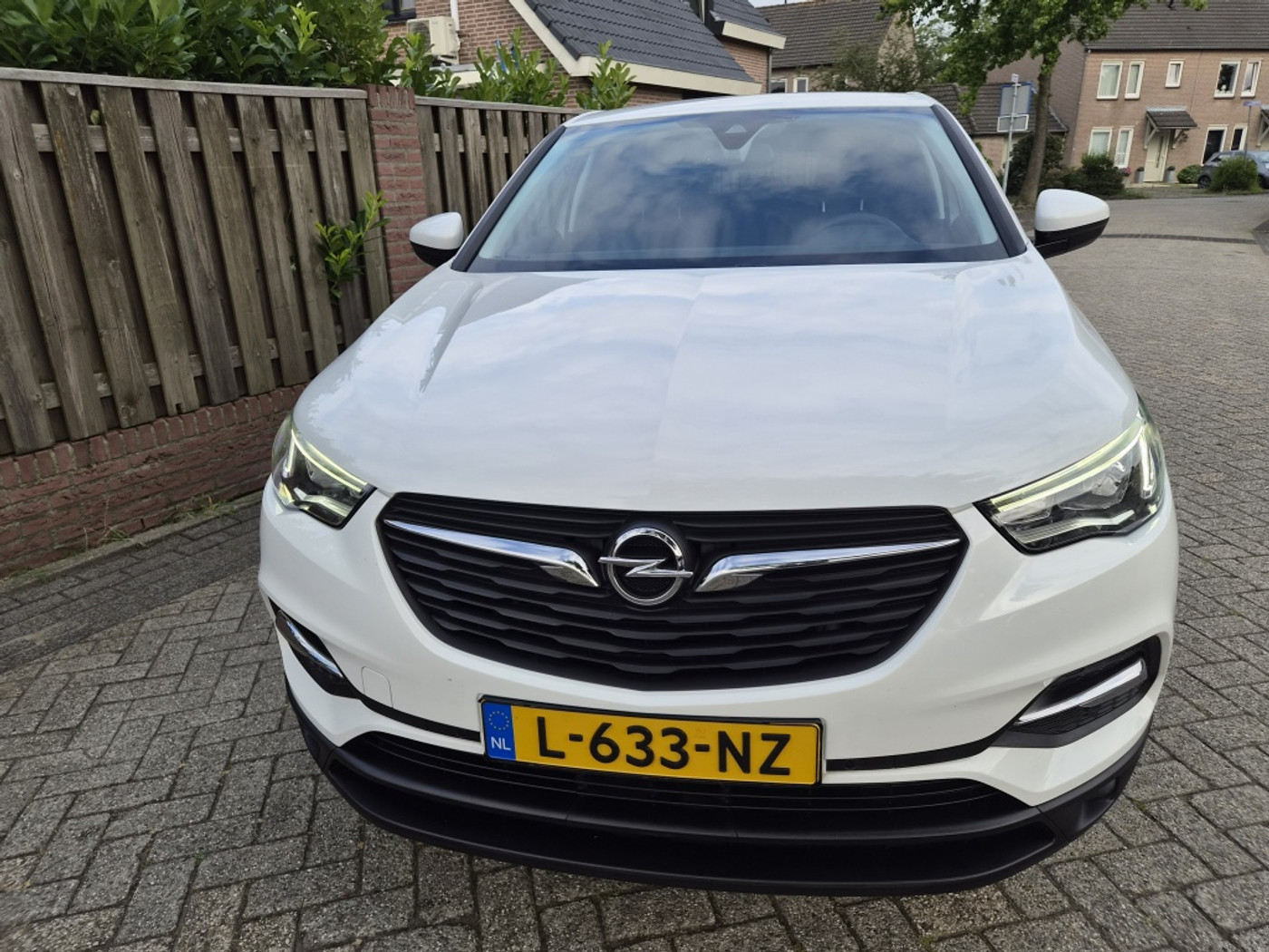 Foto van Opel Grandland X